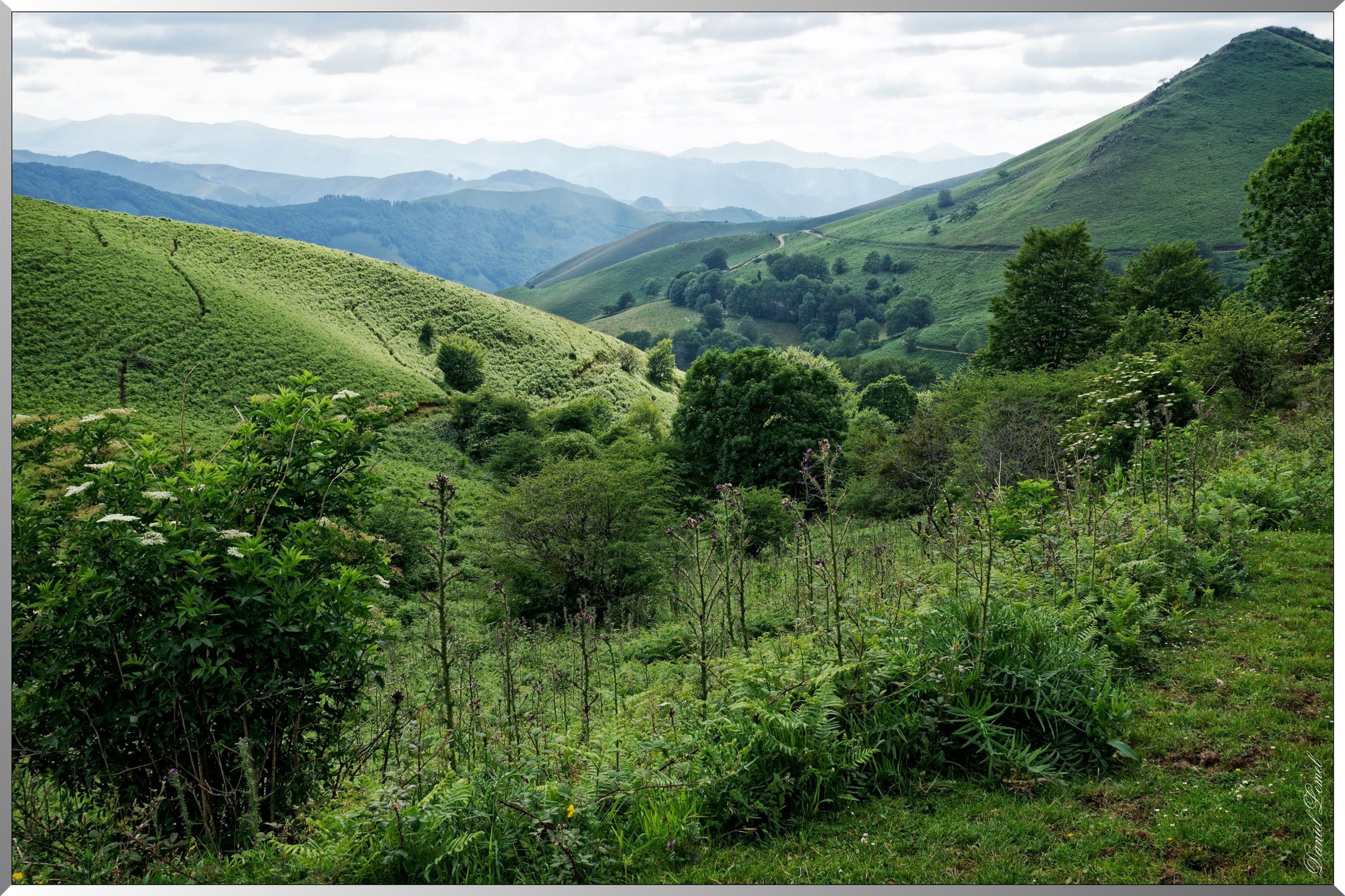 Paysage de montagne