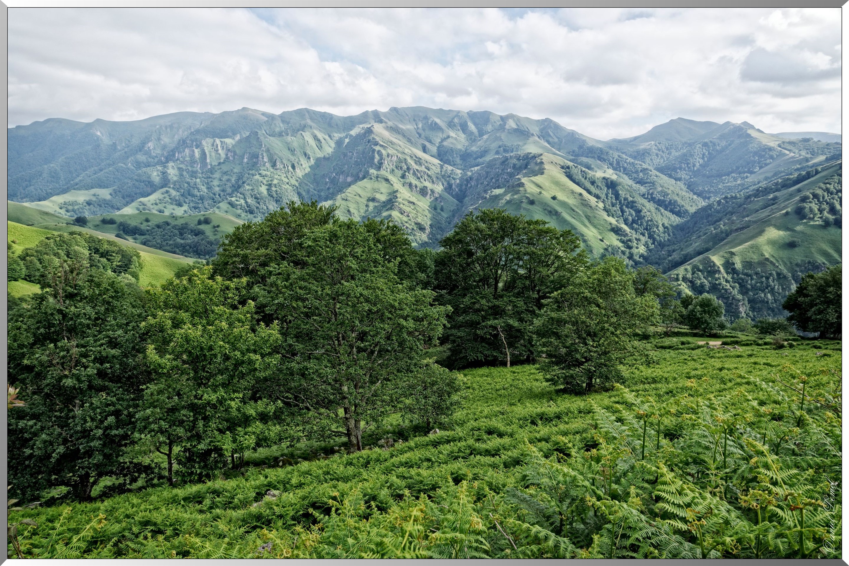 Paysage de montagne