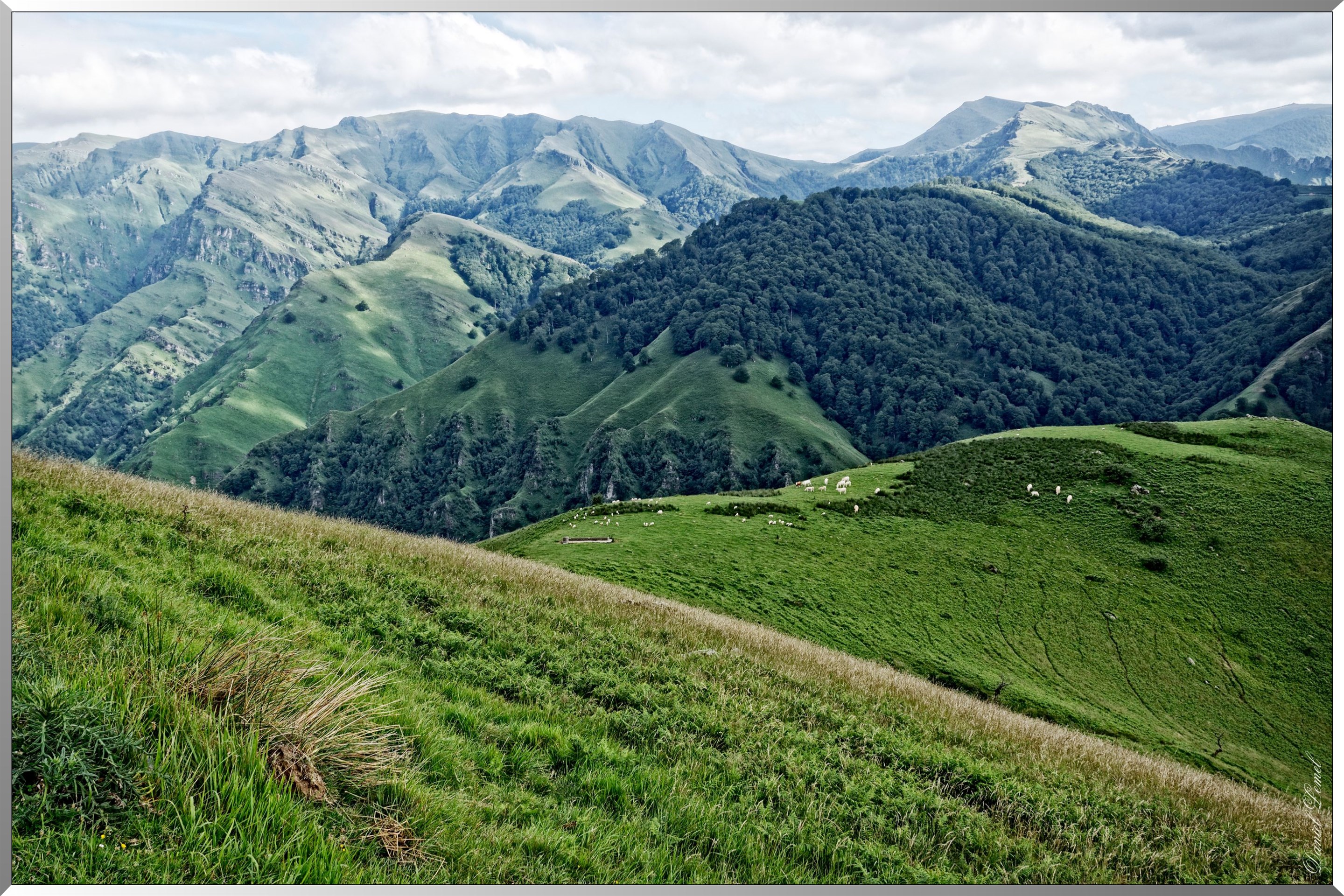 Paysage de montagne