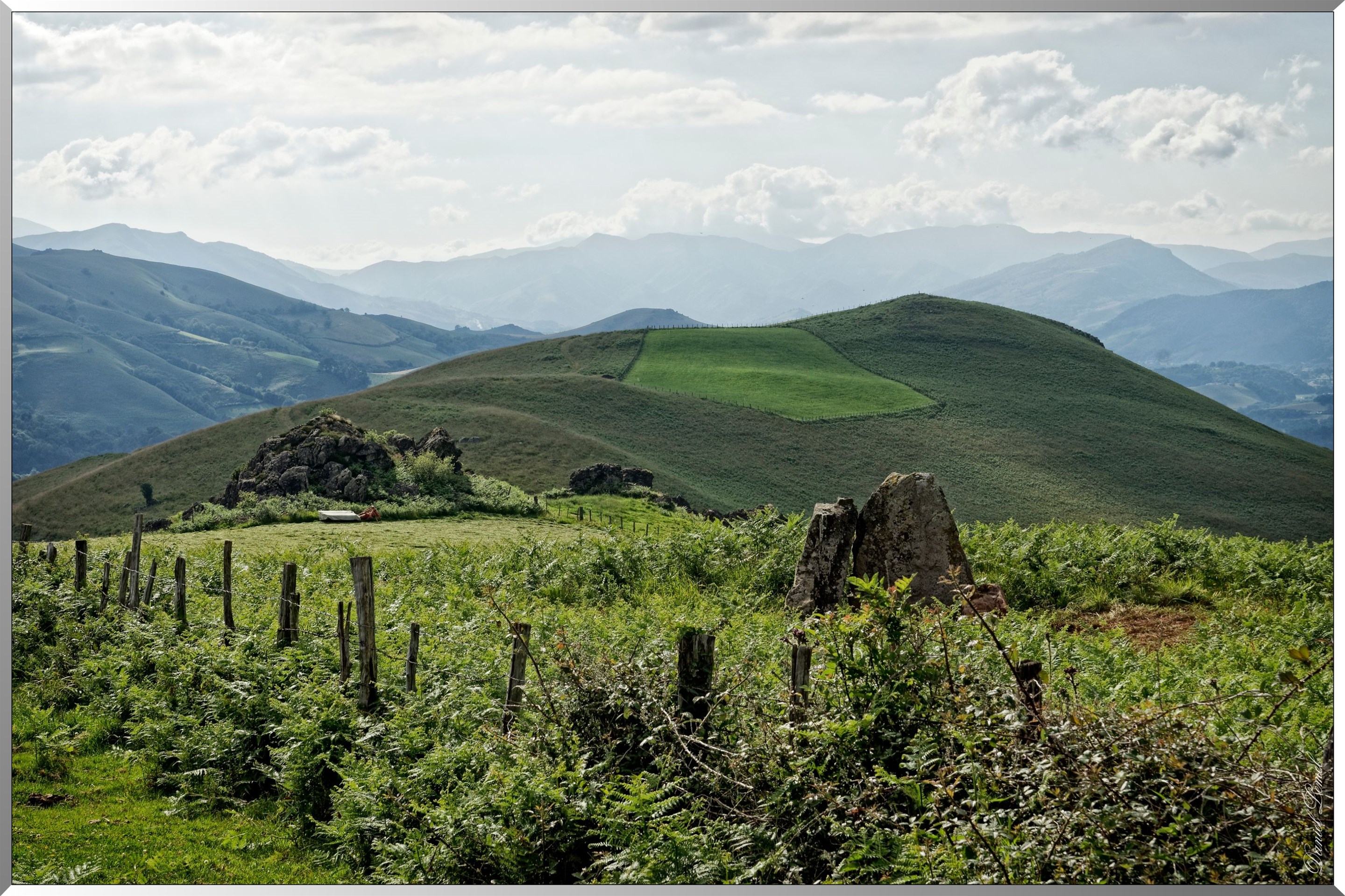 Paysage de montagne