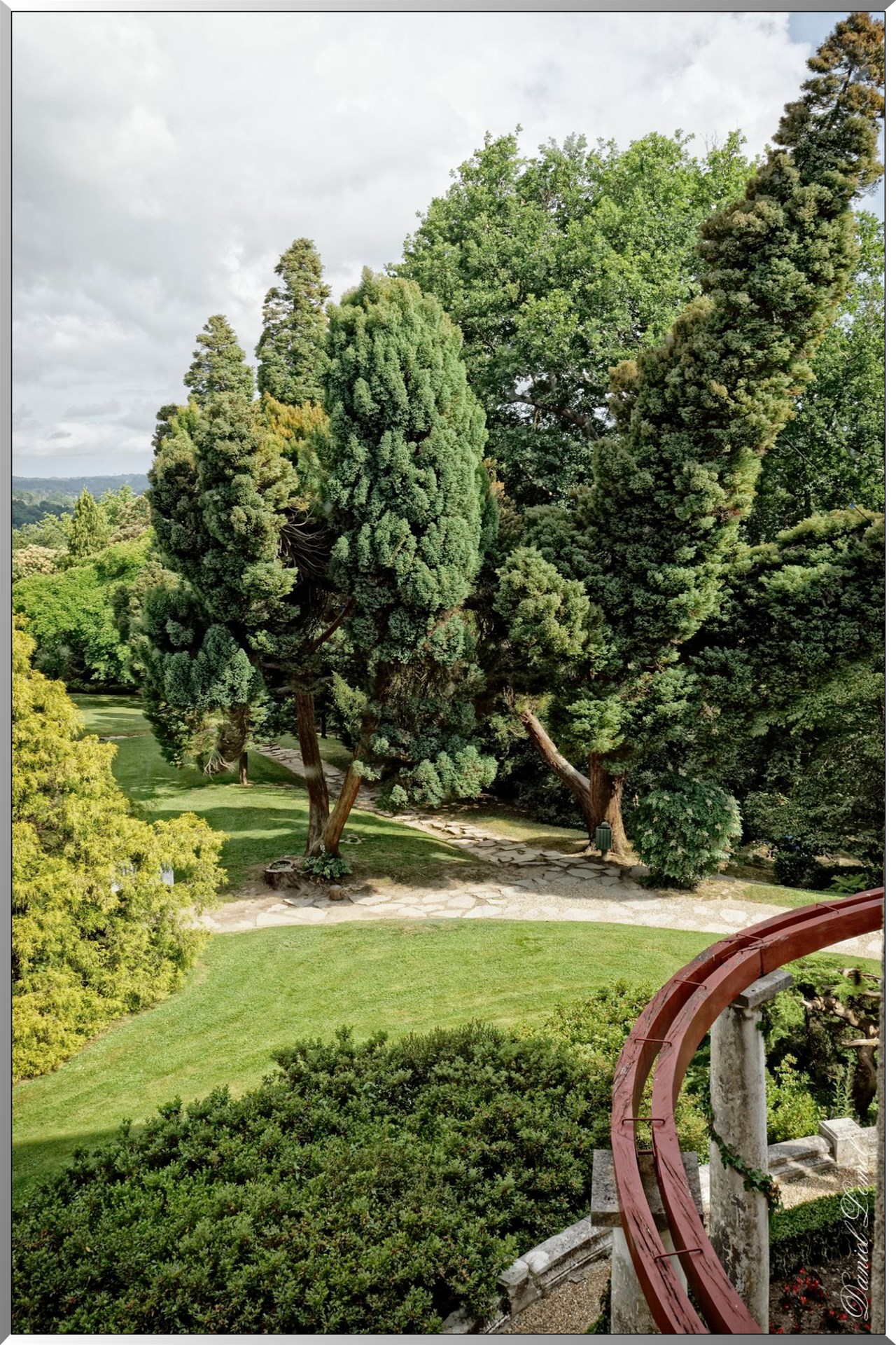 Jardin anglais