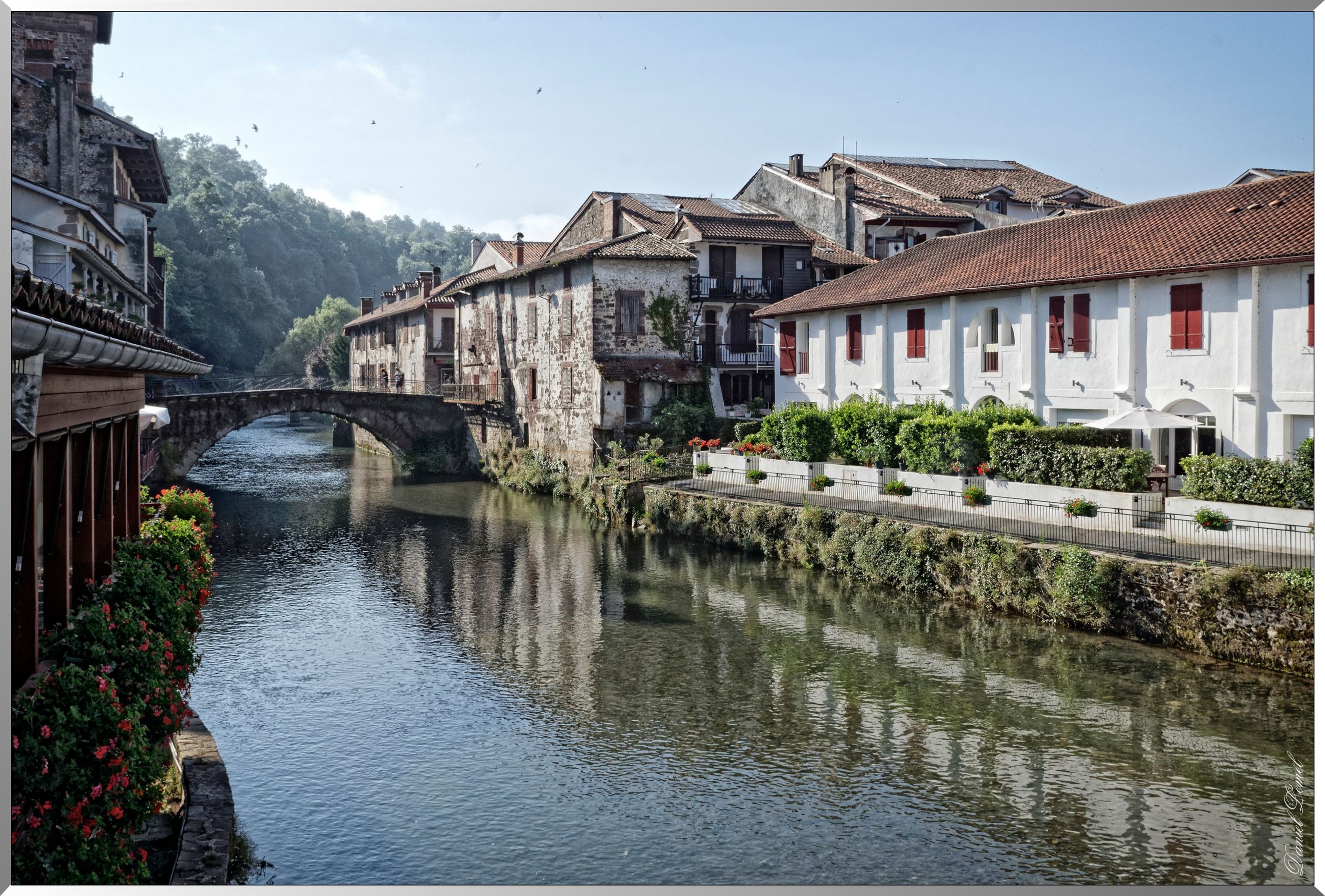 Pont