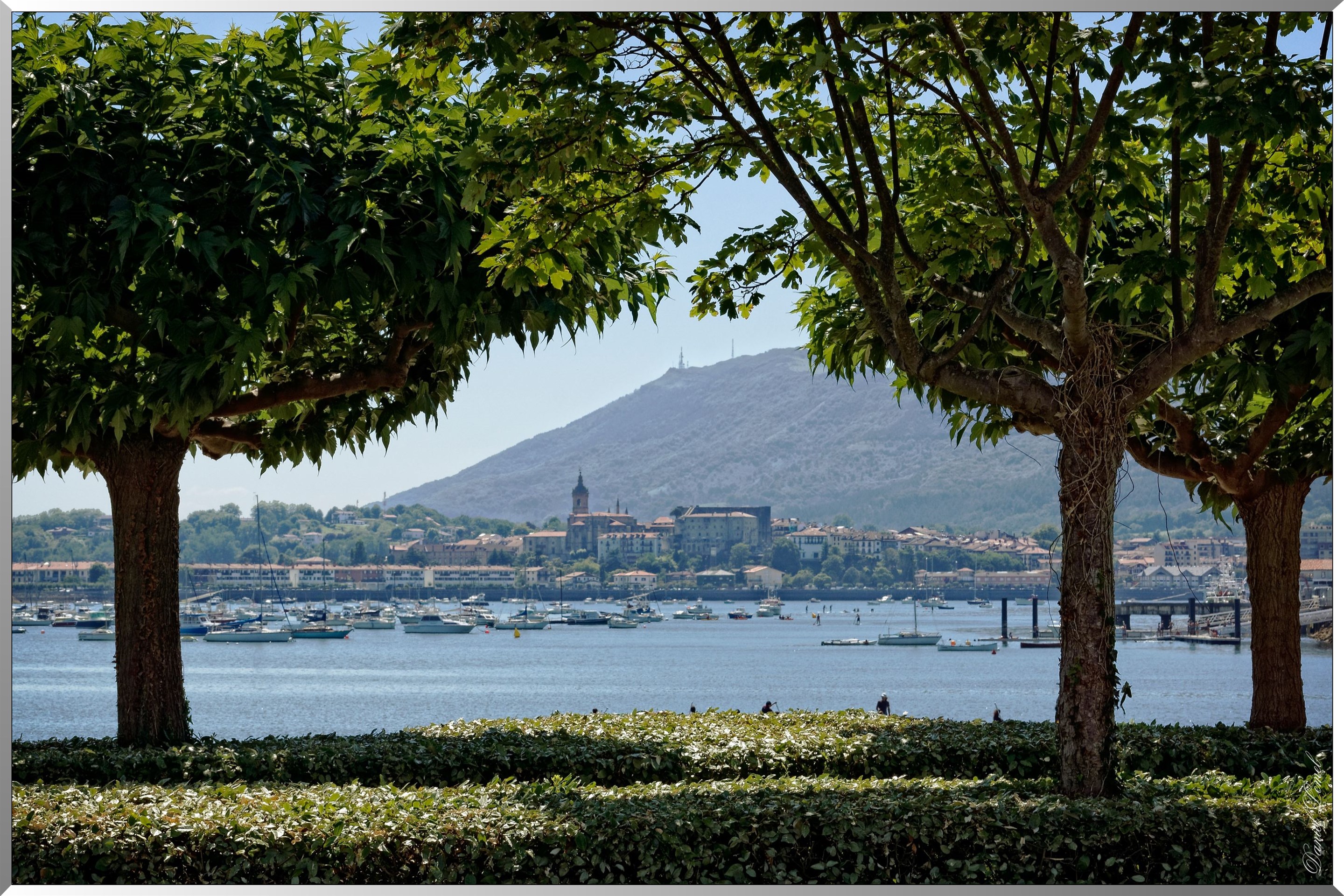 Le port