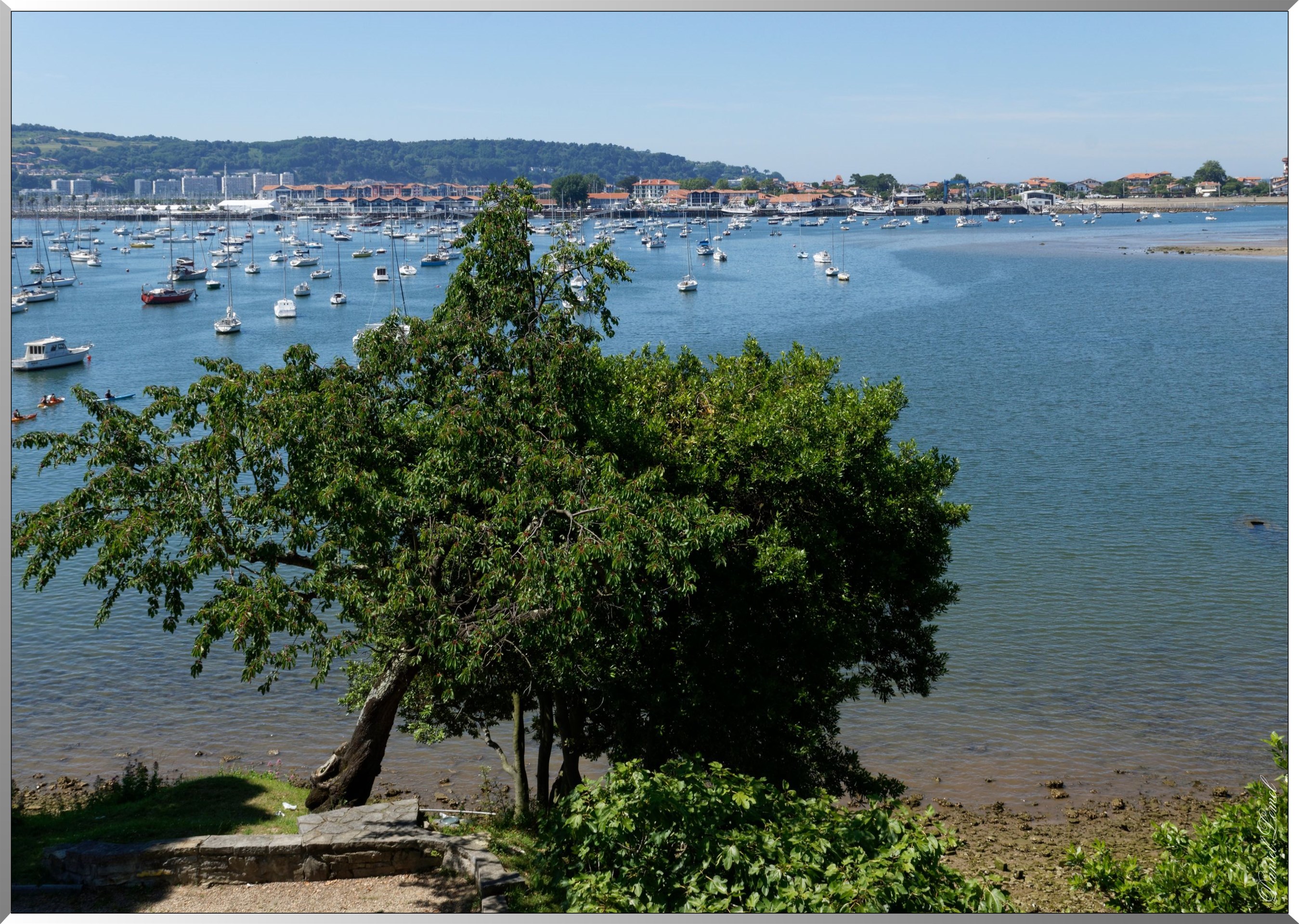 Port de plaisance
