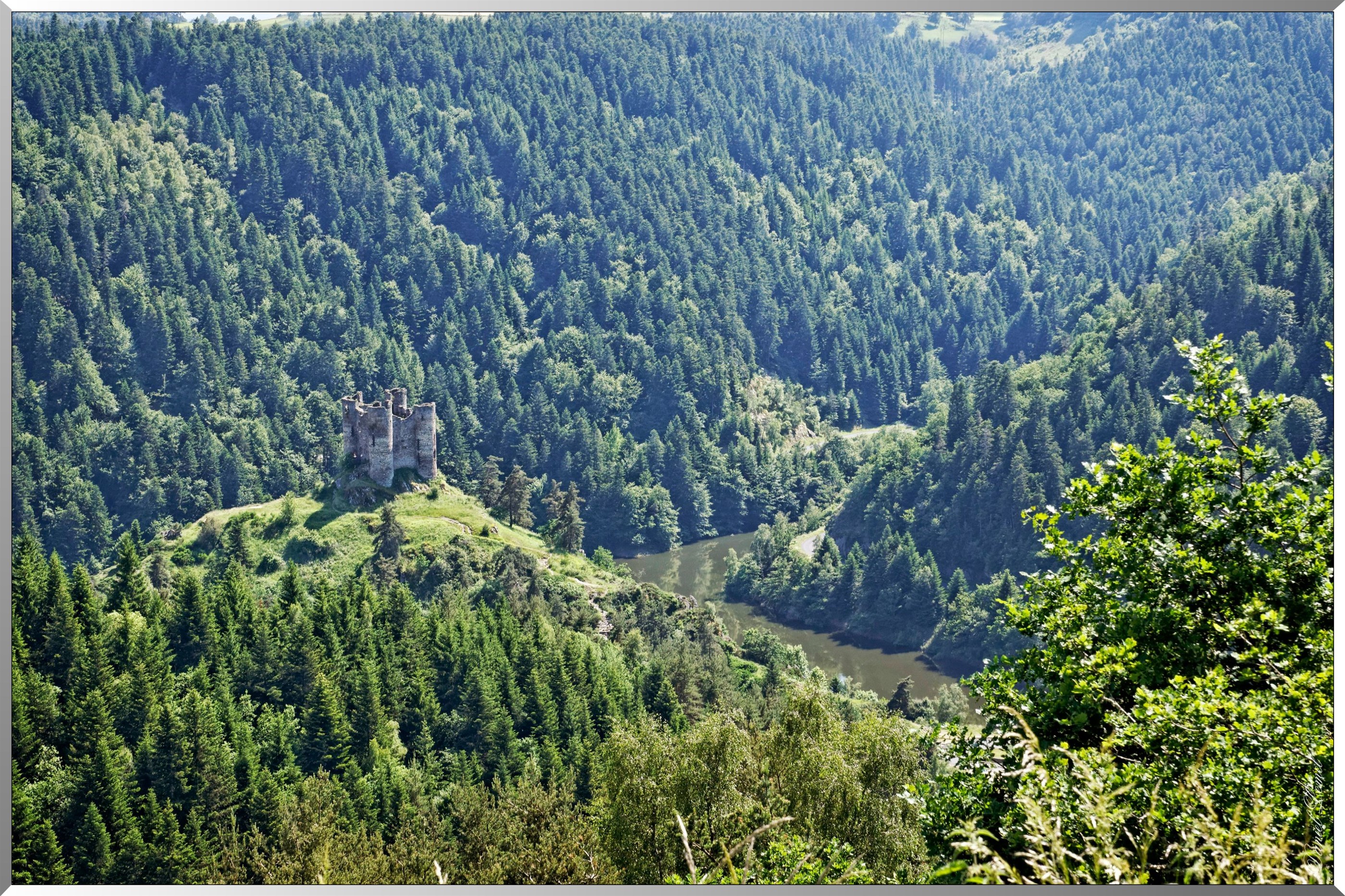 Château d' Alleuze - Nid d' Aigle fortifié