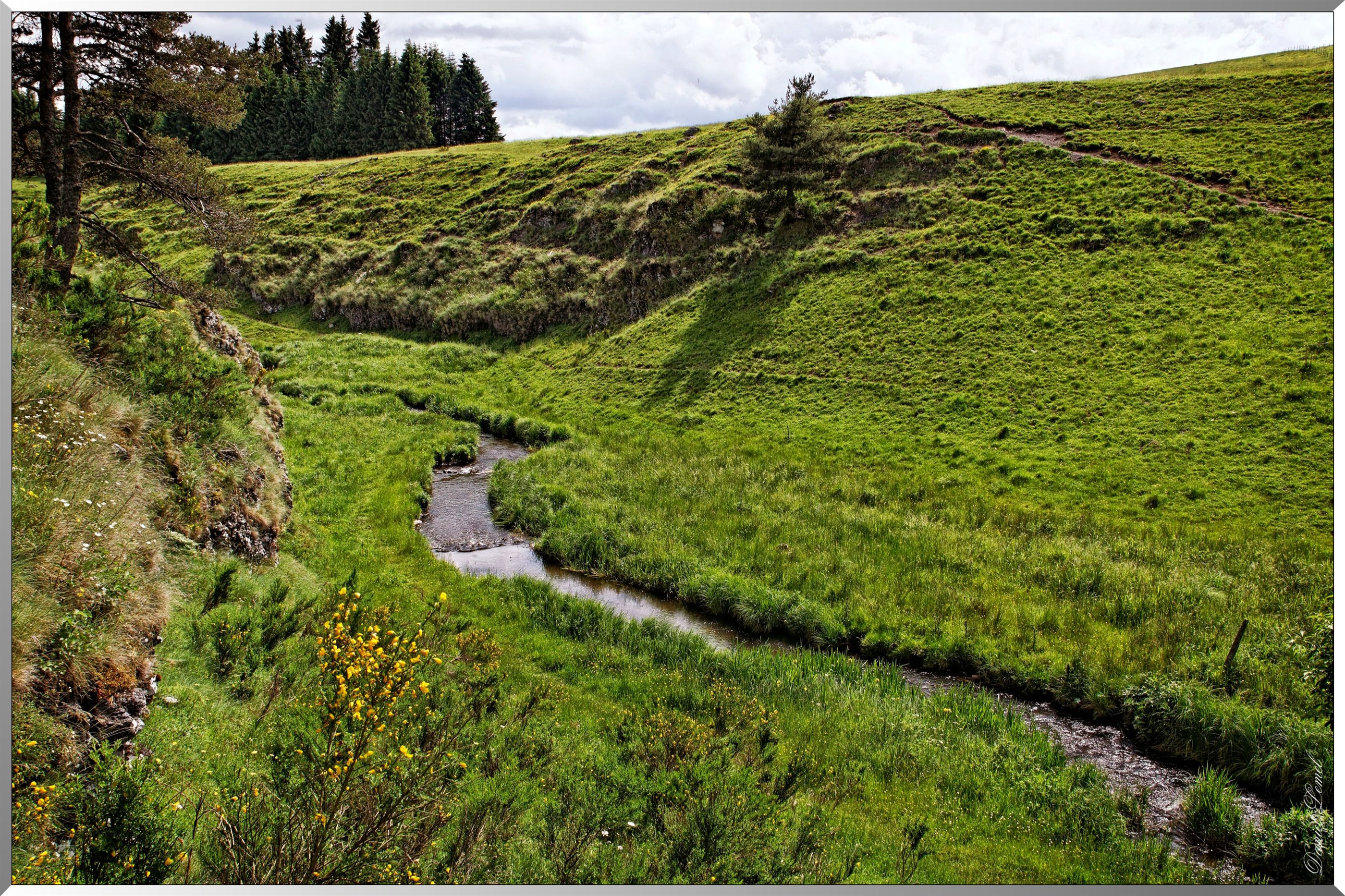 Ruisseau des Veyrines