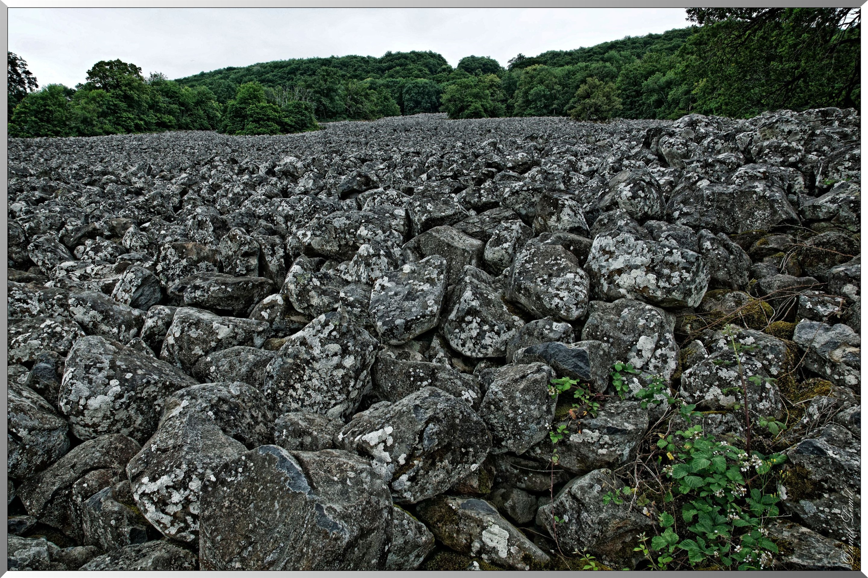 La coulée de lave de Roquelaure