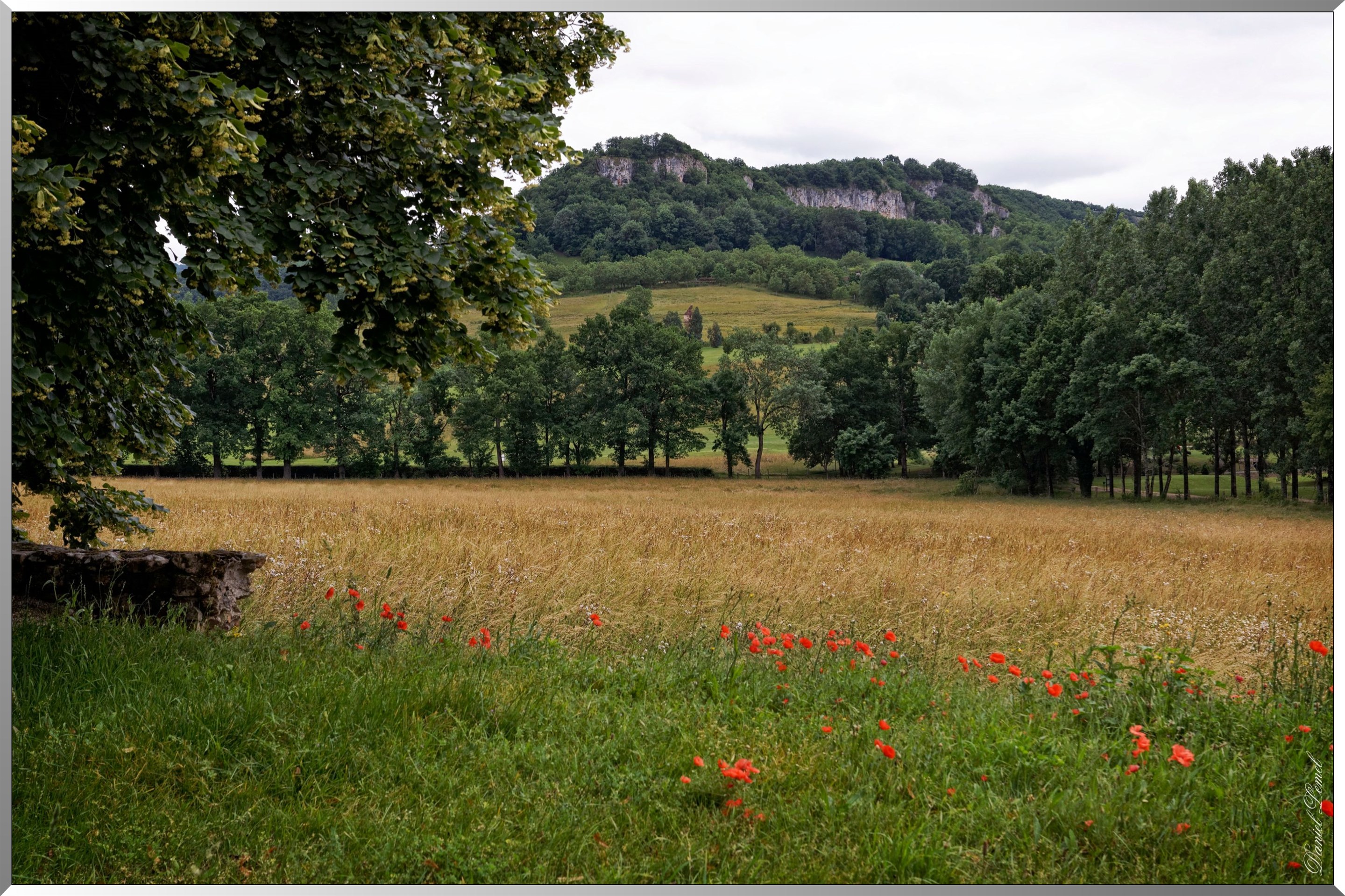 Vue d'extérieur du château