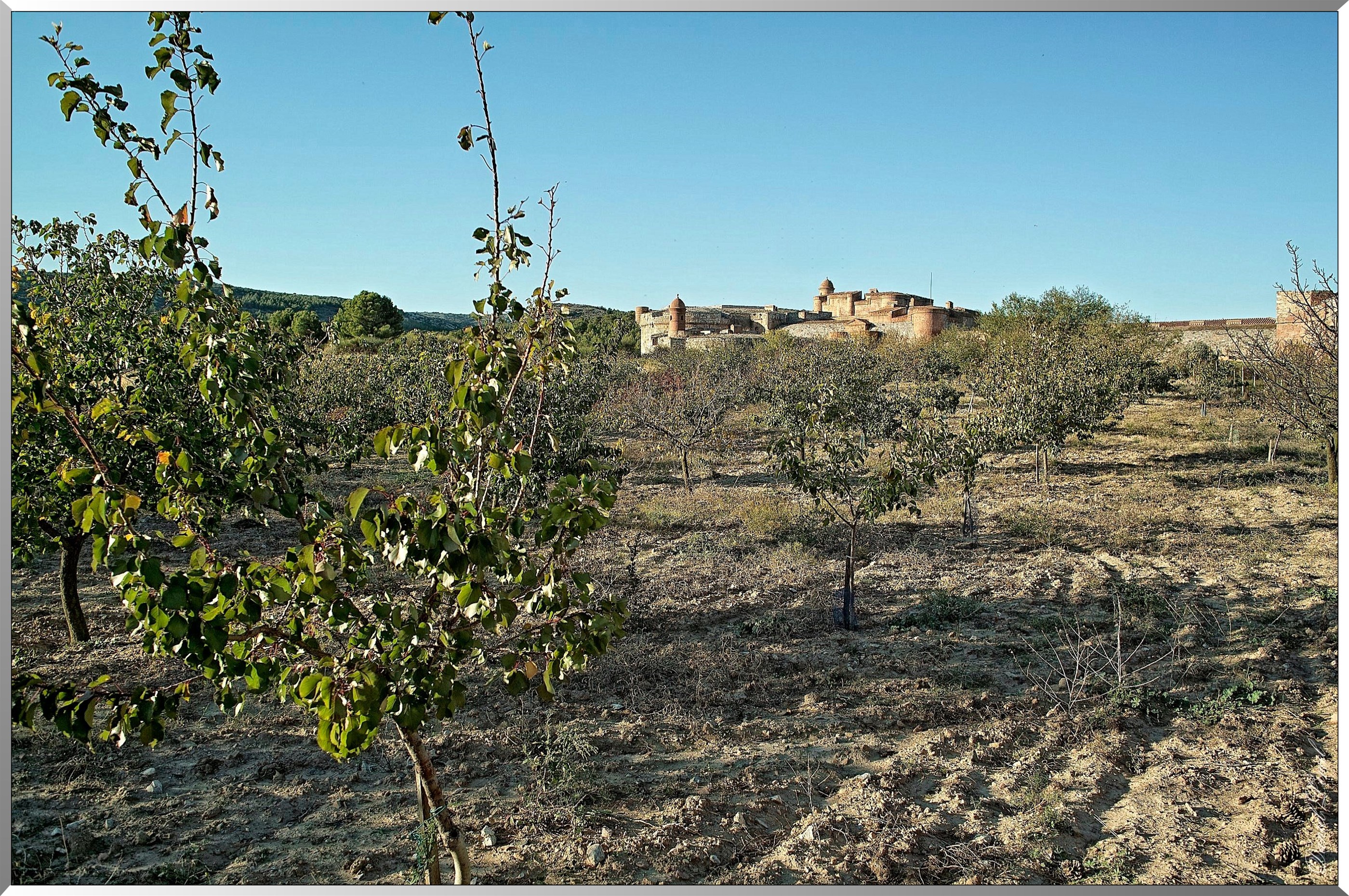Vue de la forteresse