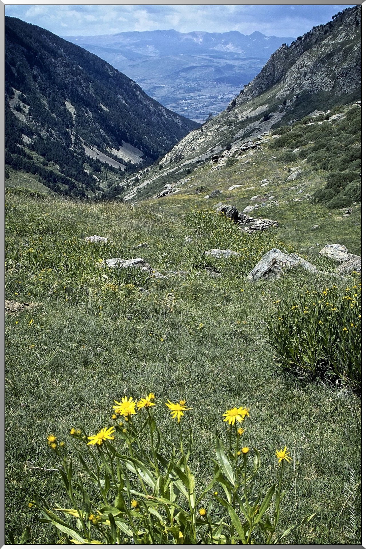 Réserve Naturelle de vallée d’Eyne - Vue sur la Cerdagne
