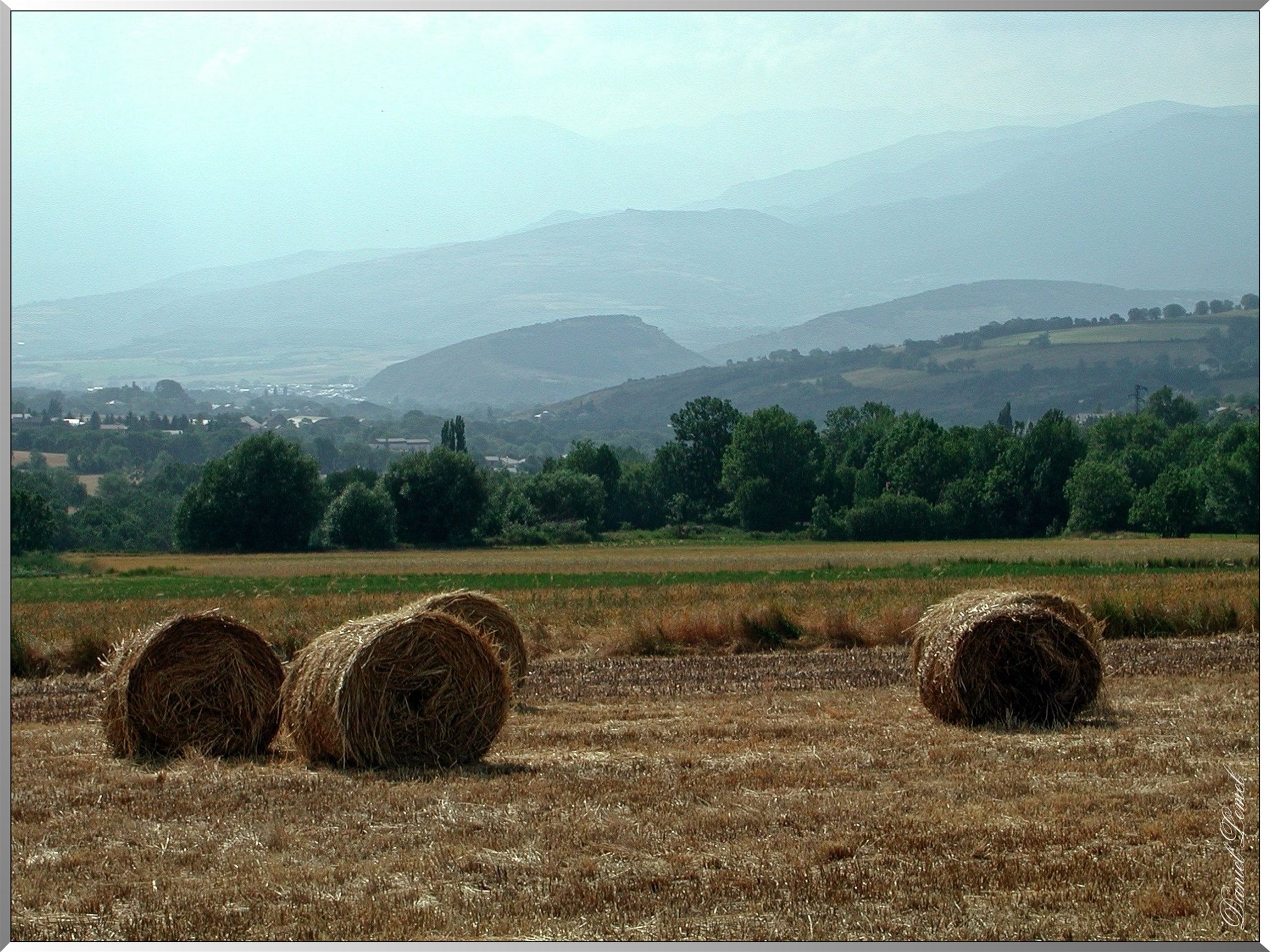 Meules de foin