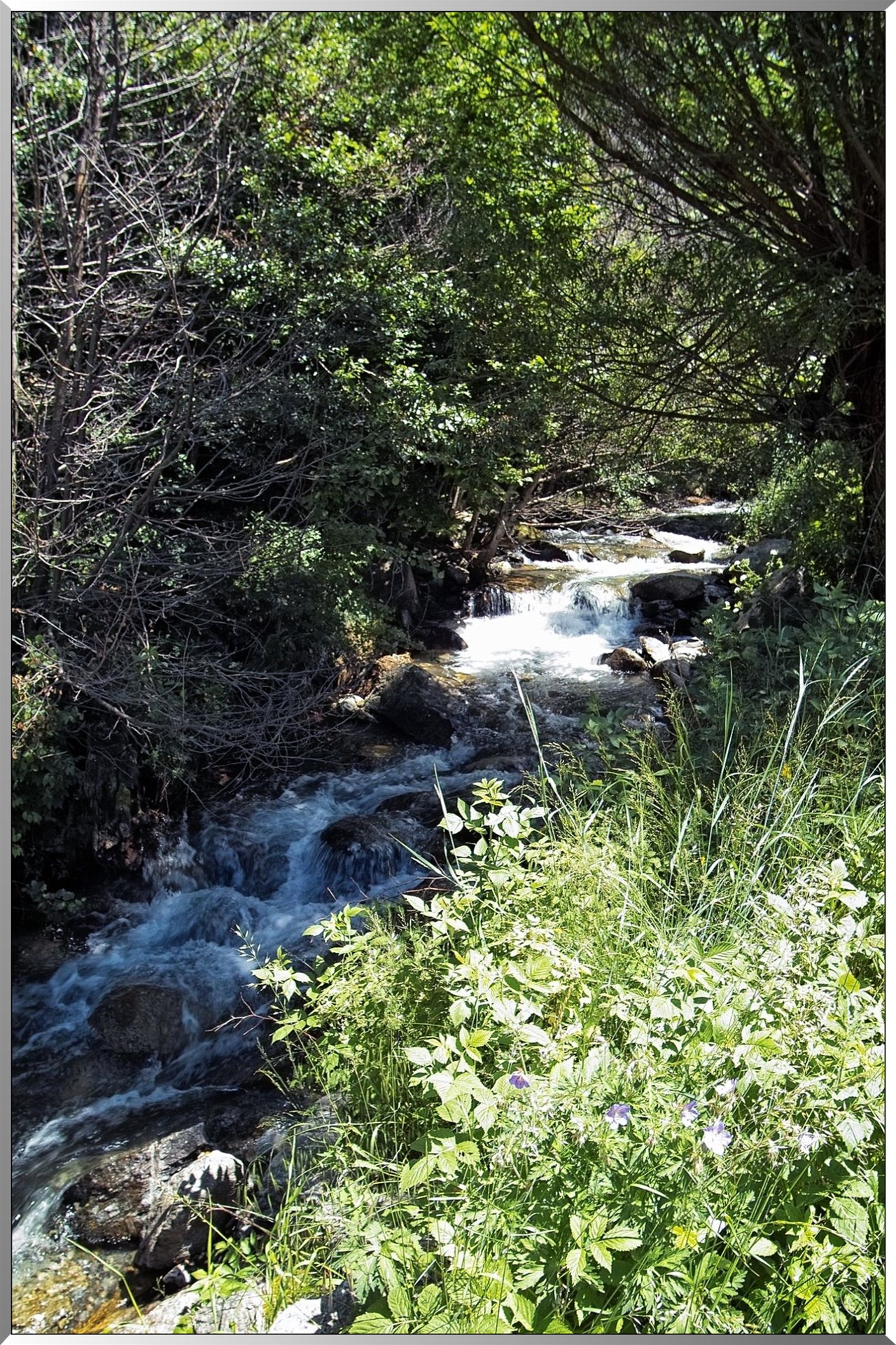 Gorges du Sègre