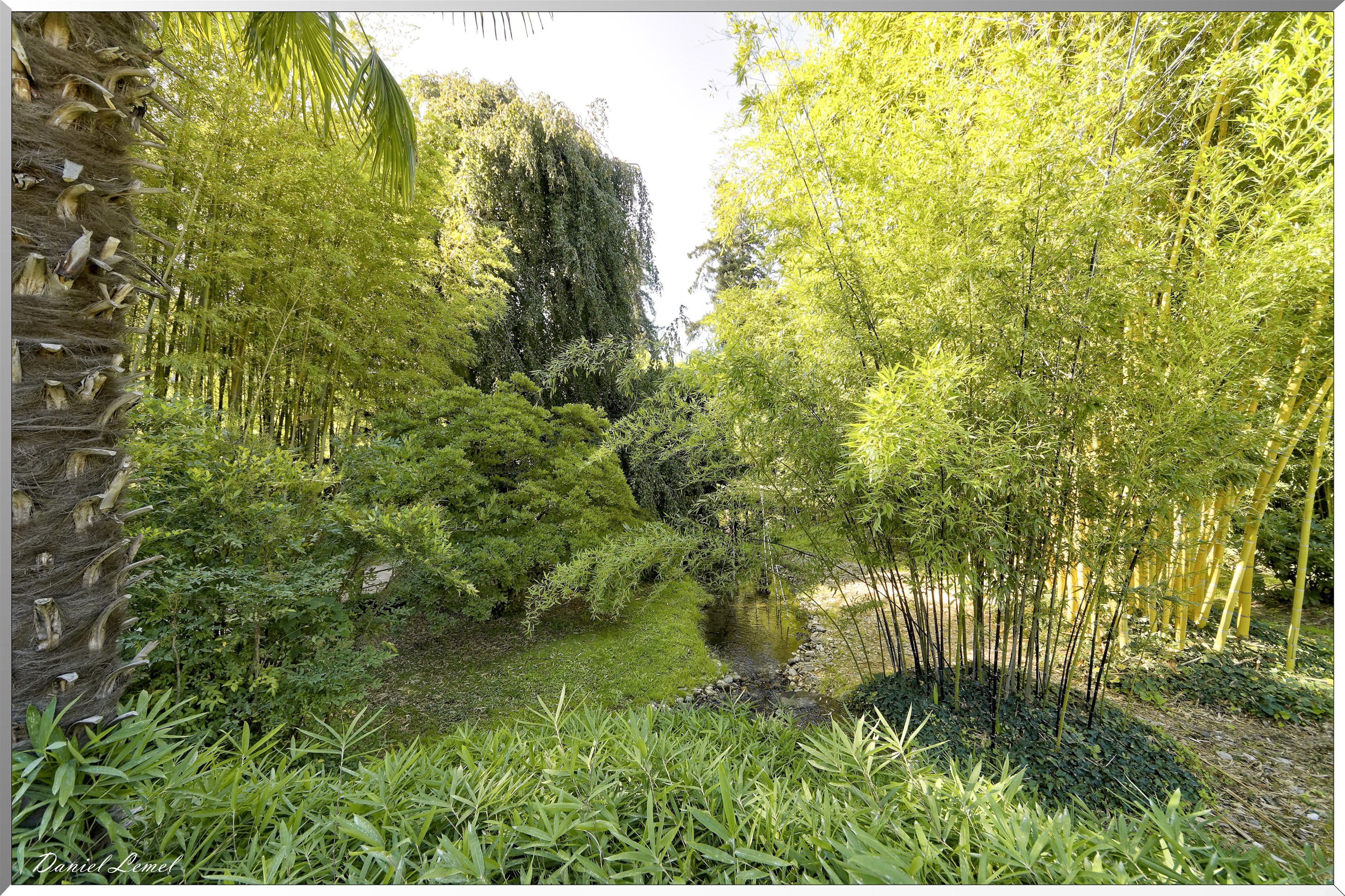 Jardin japonais