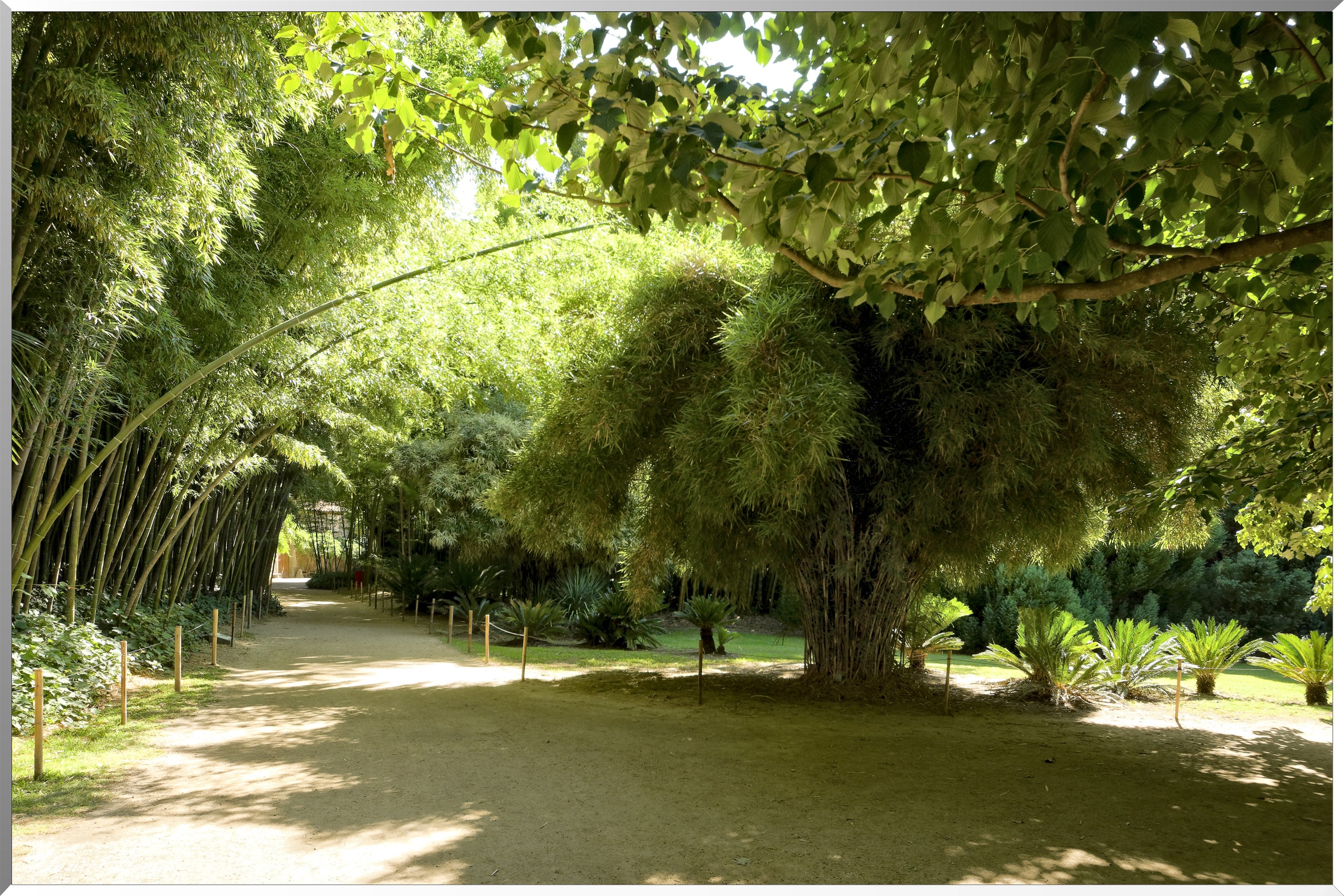 Allée