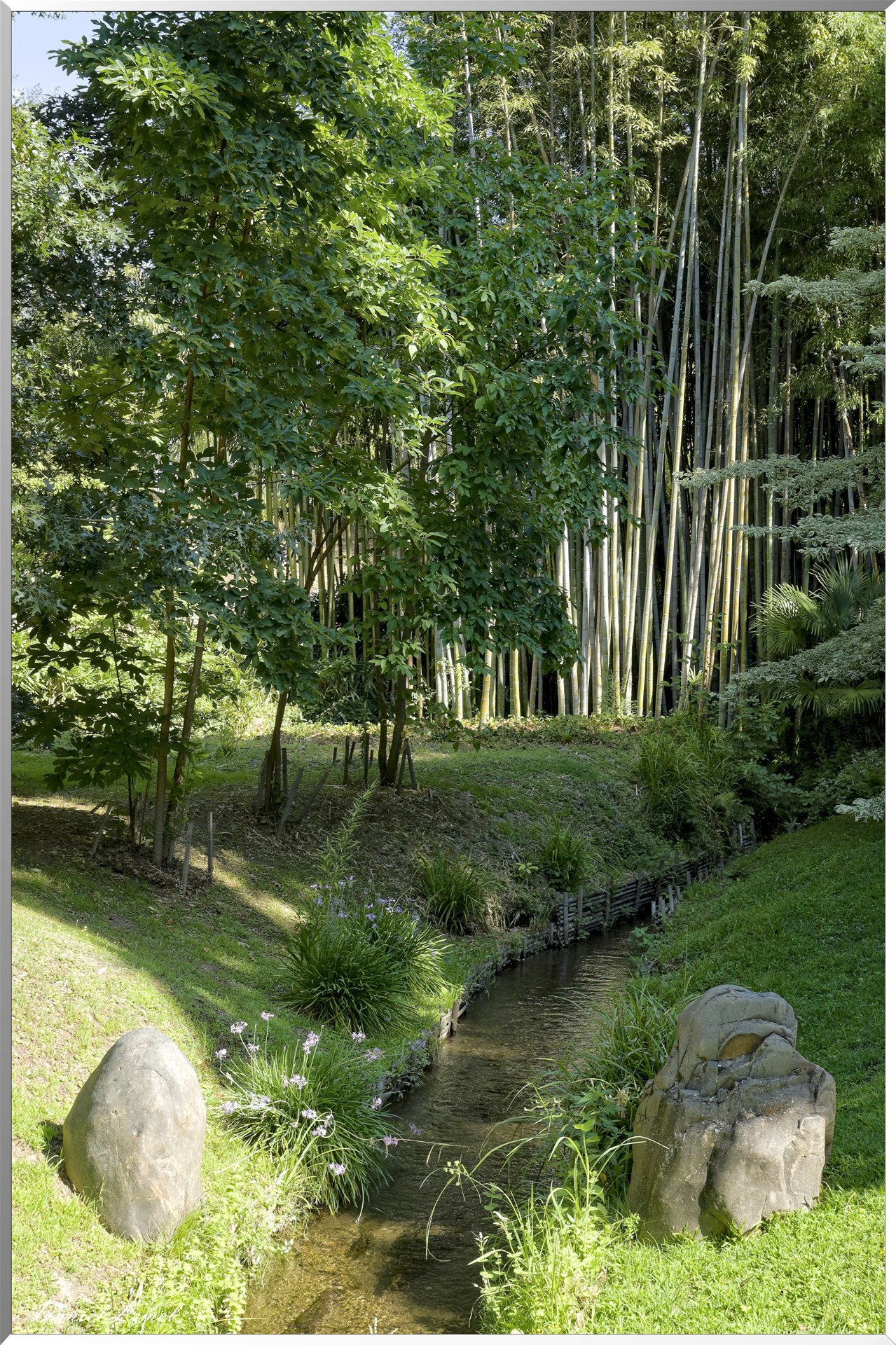 Le vallon du Dragon