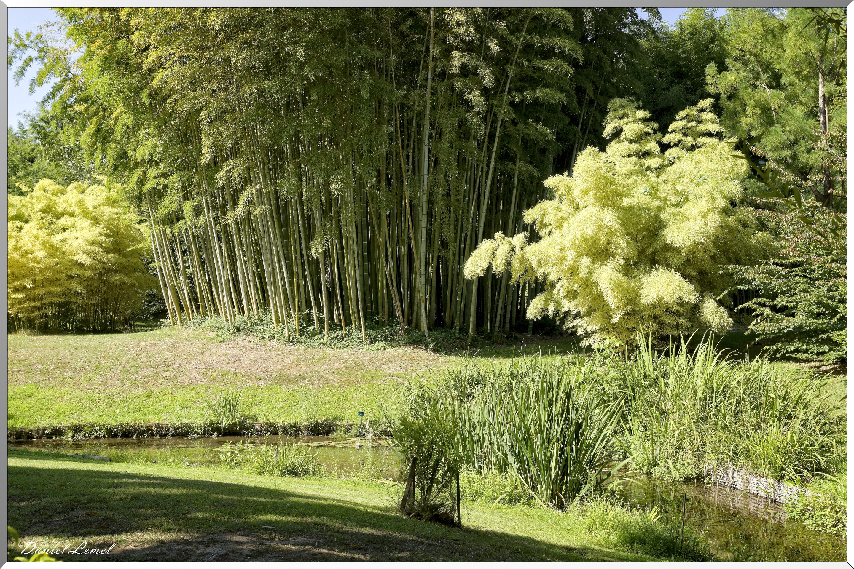 Le vallon du Dragon