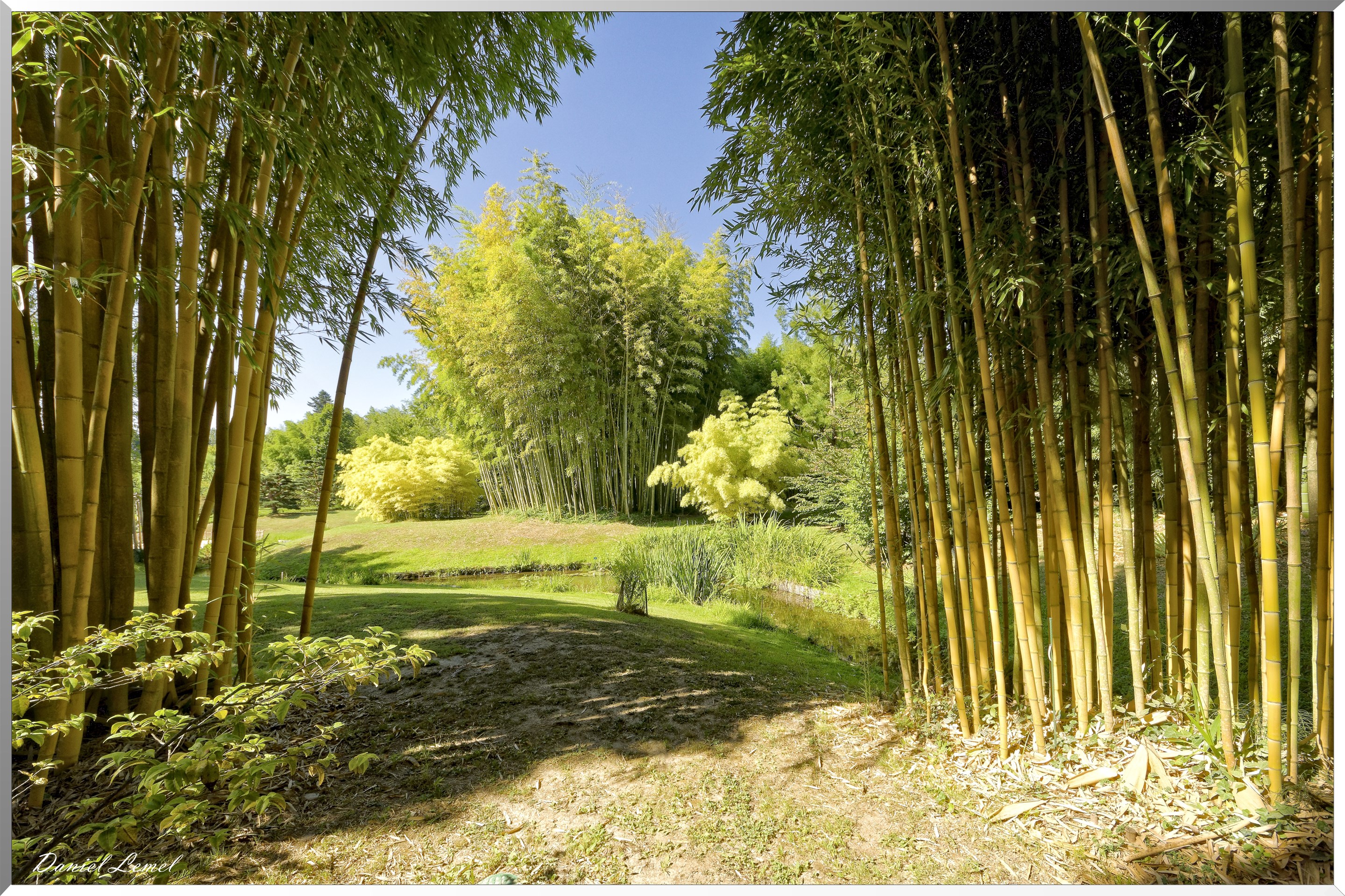 Le vallon du Dragon