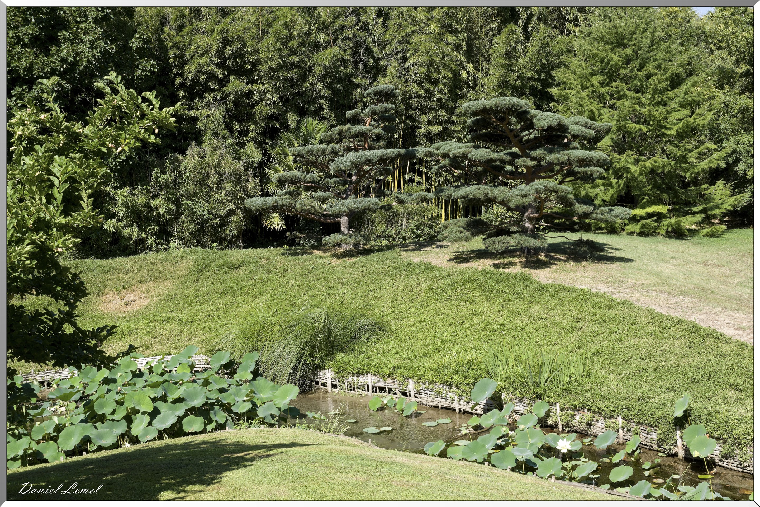 Le vallon du Dragon