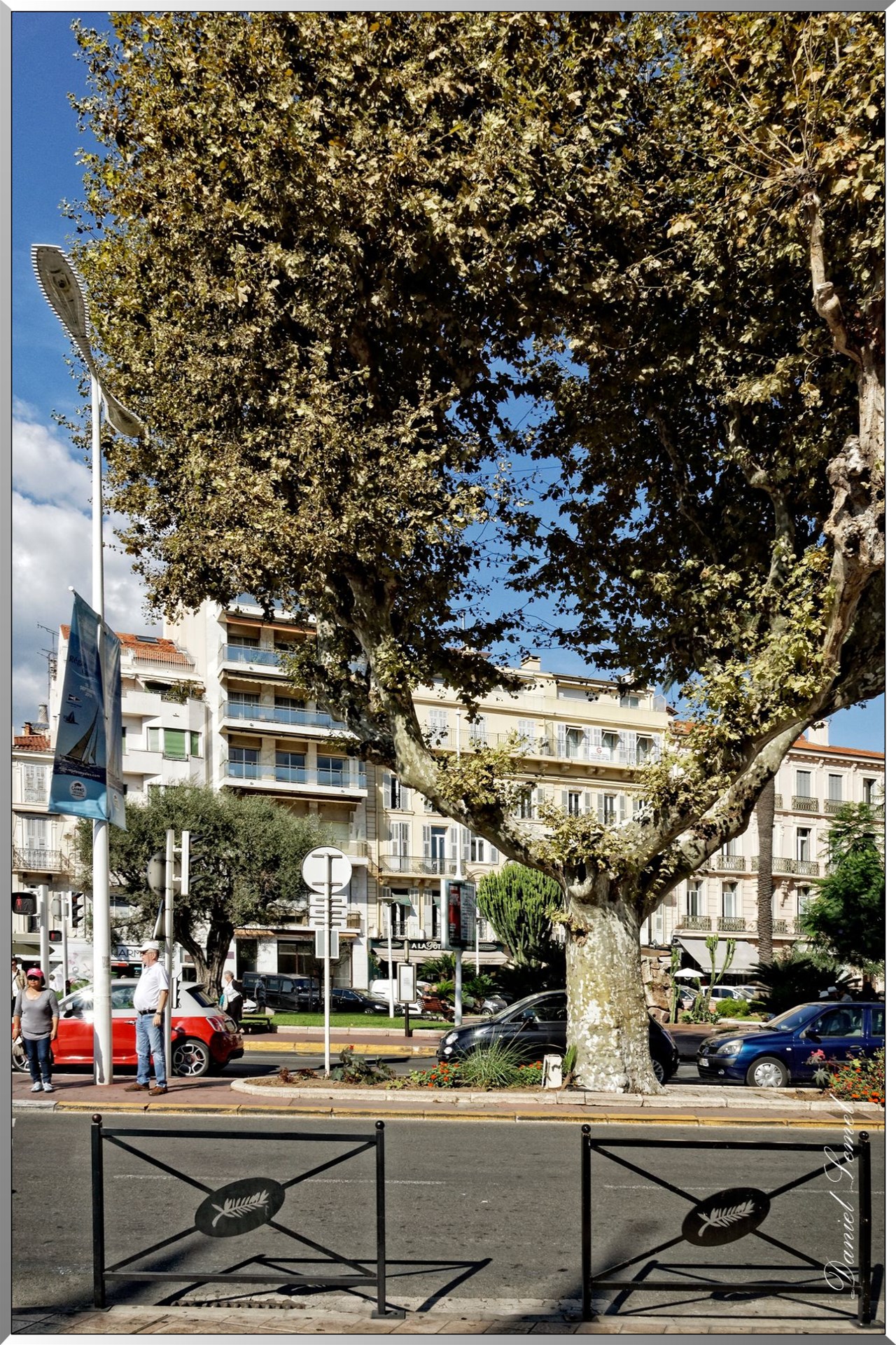 Arbre