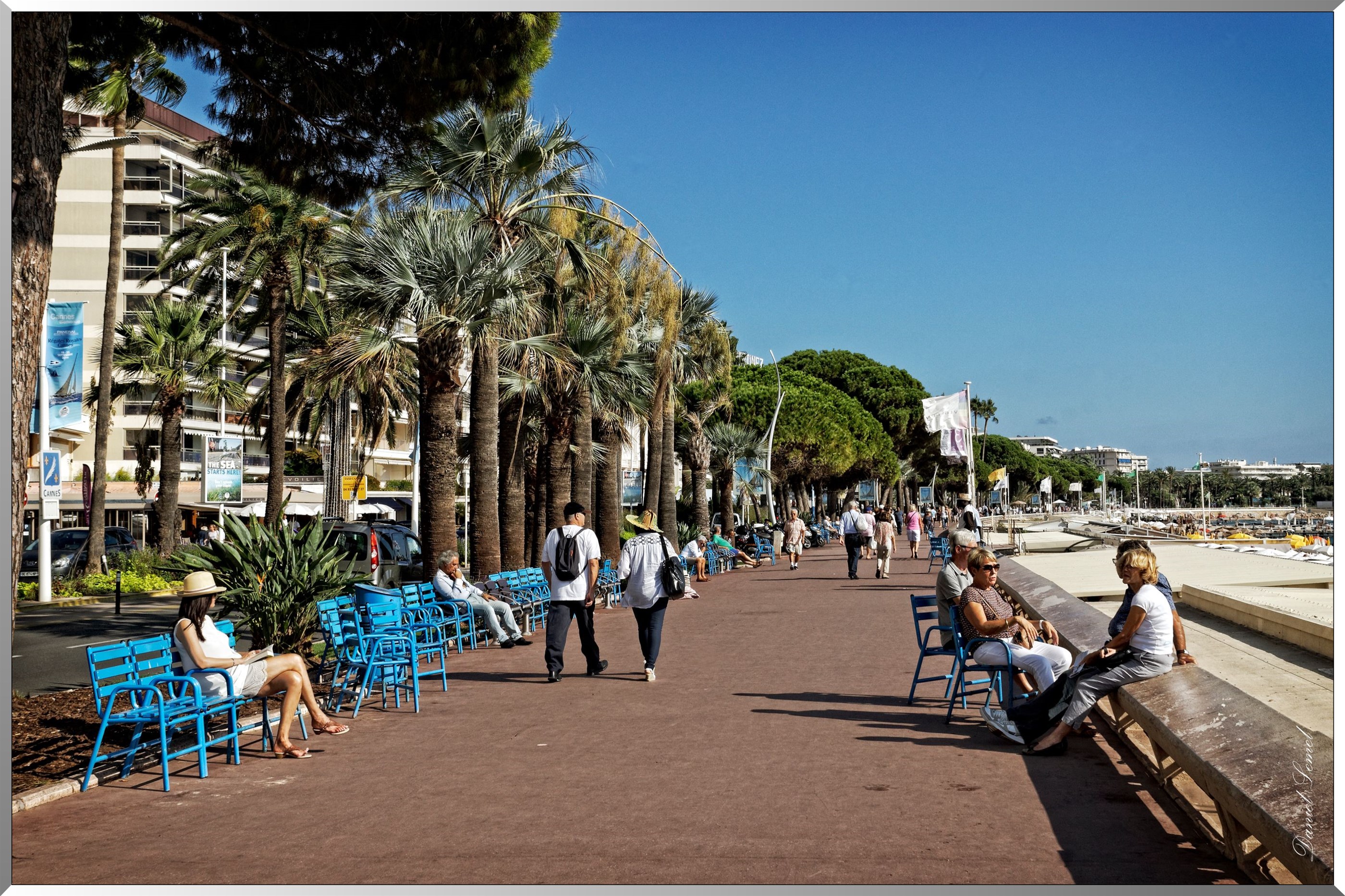 La croisette