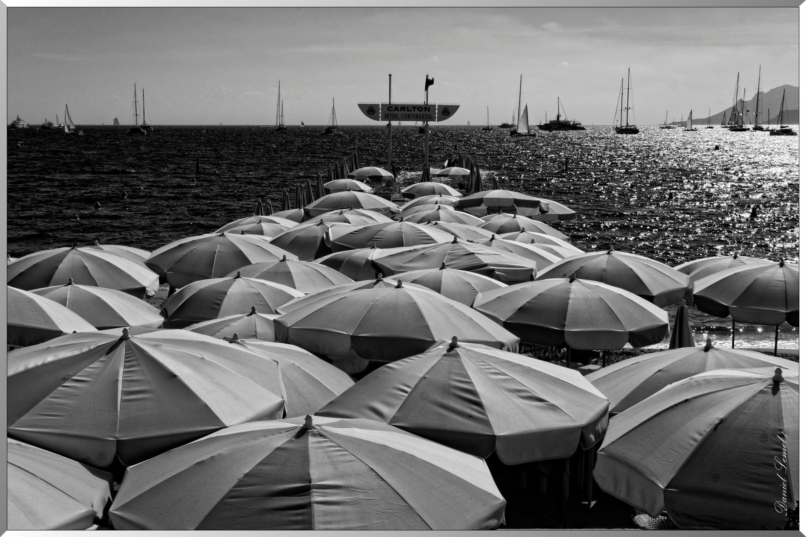 Parasols