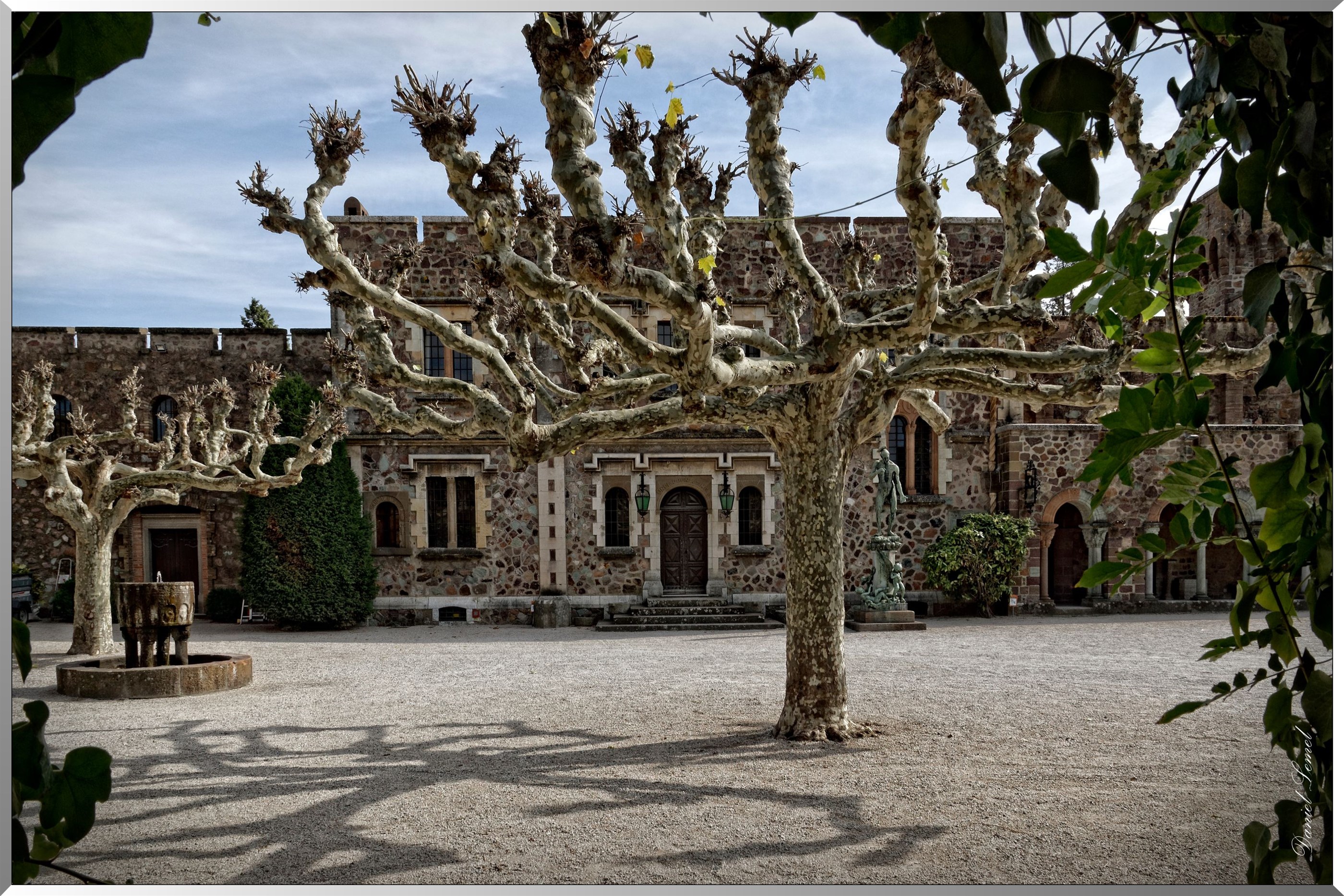 Platanes
