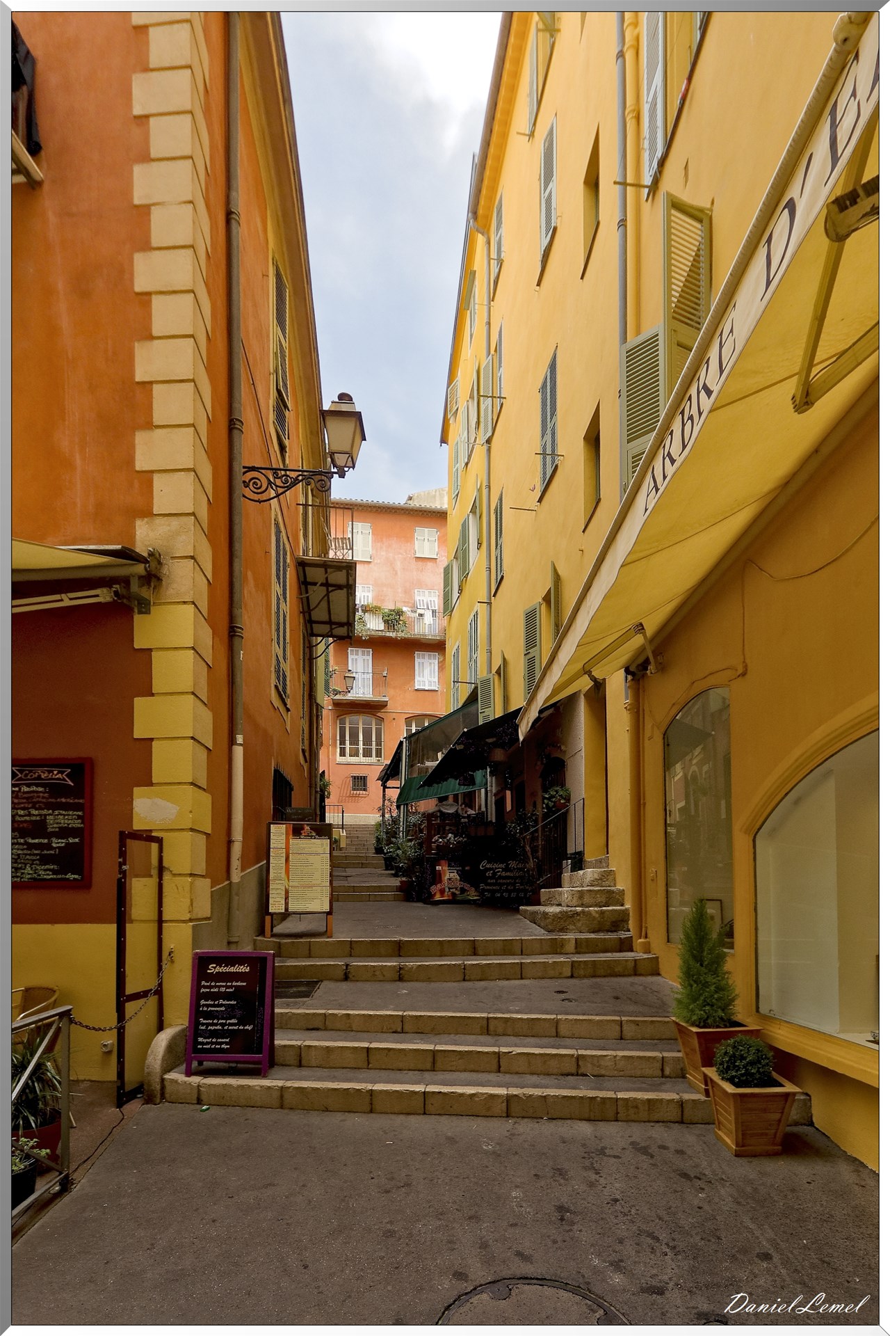 Rue