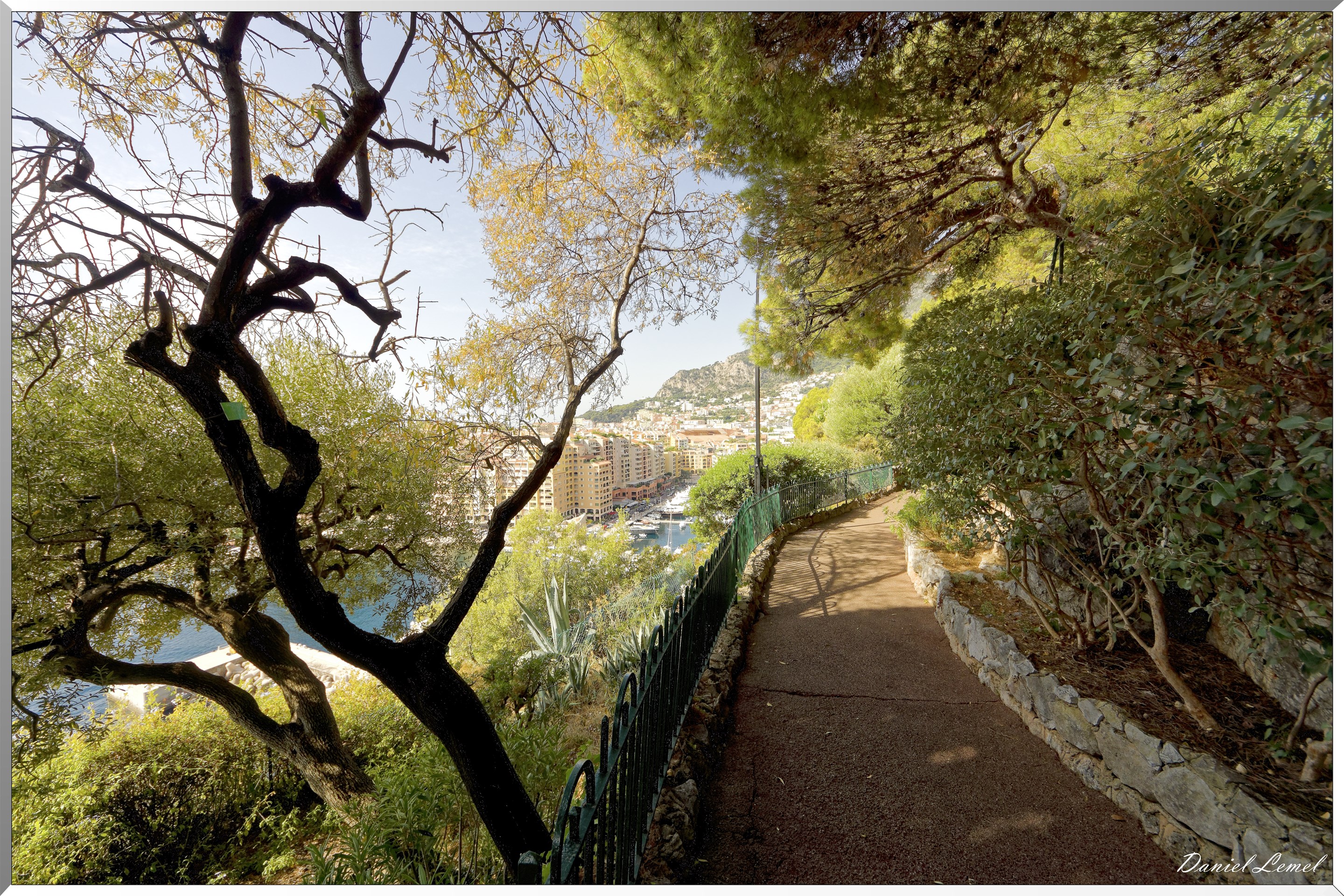 Allée - Jardins de Saint-Martin