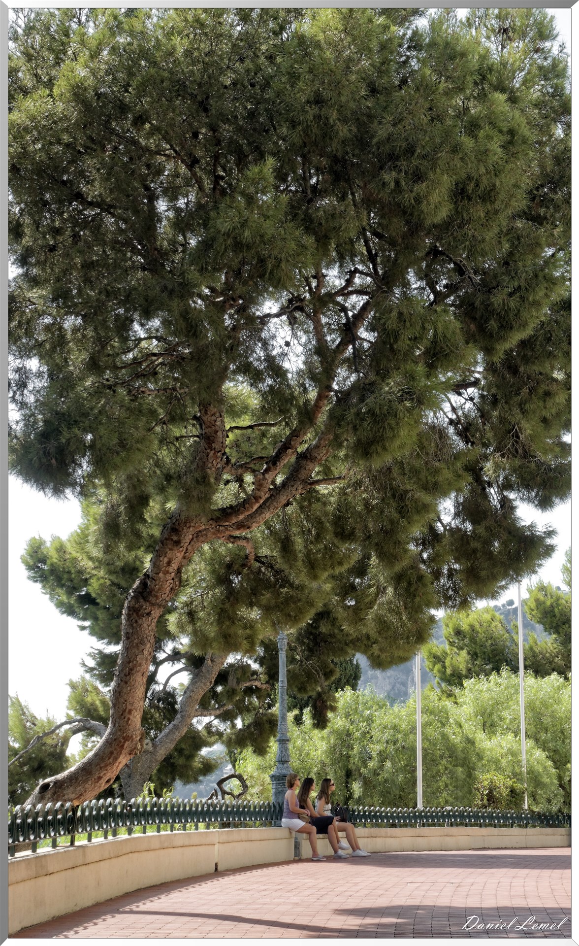 Jardins de Saint-Martin