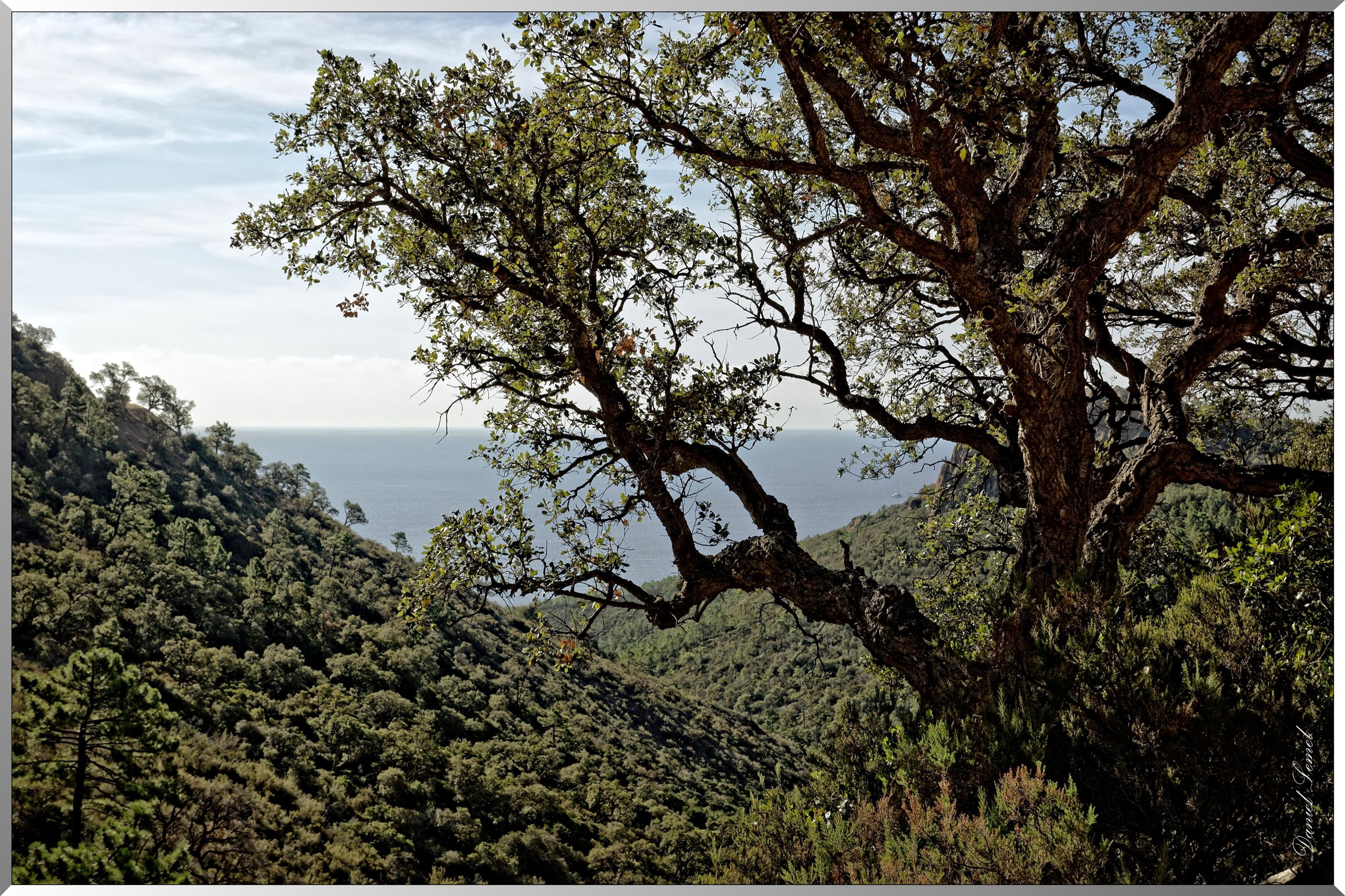 Vue sur mer