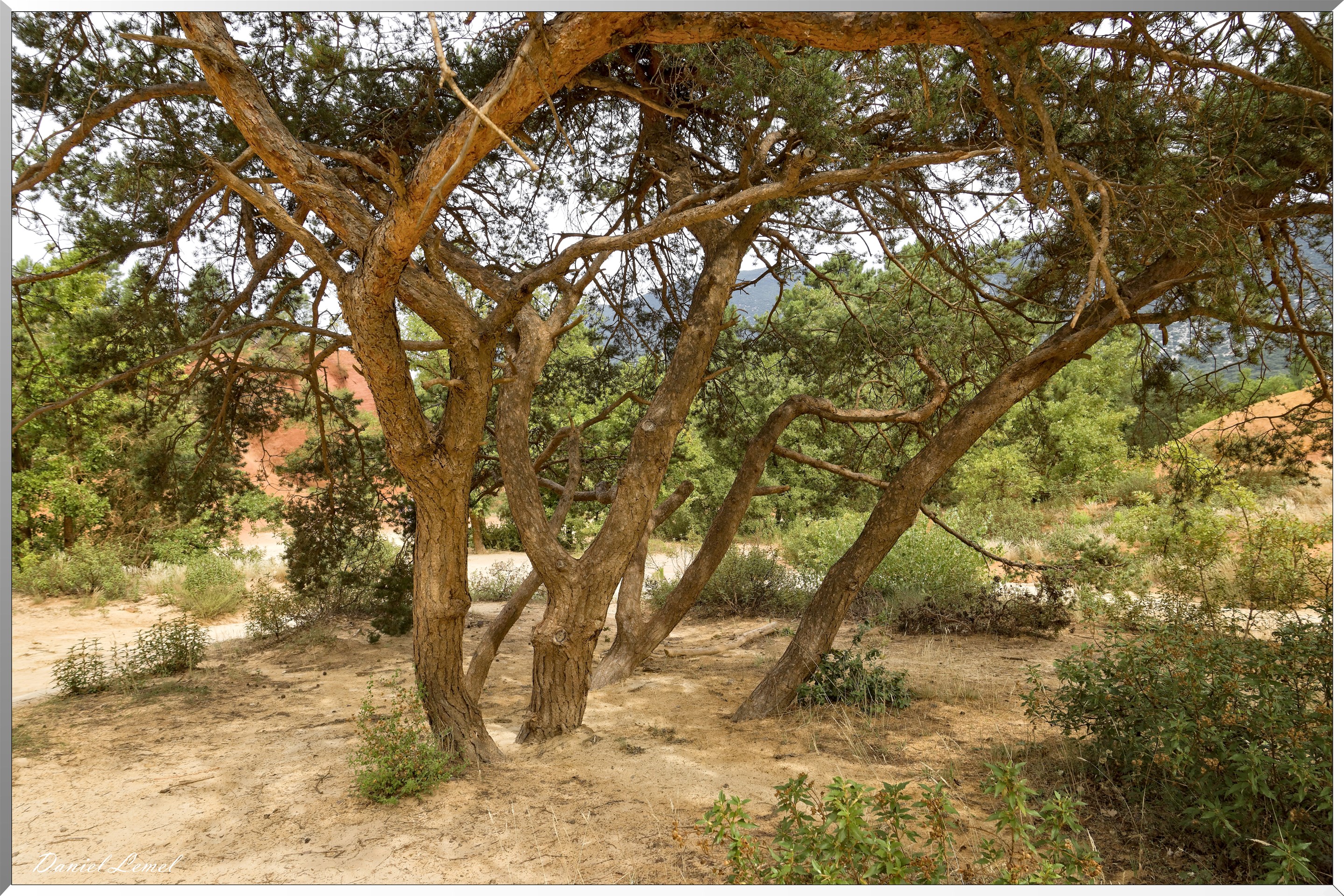Le Colorado Provençal