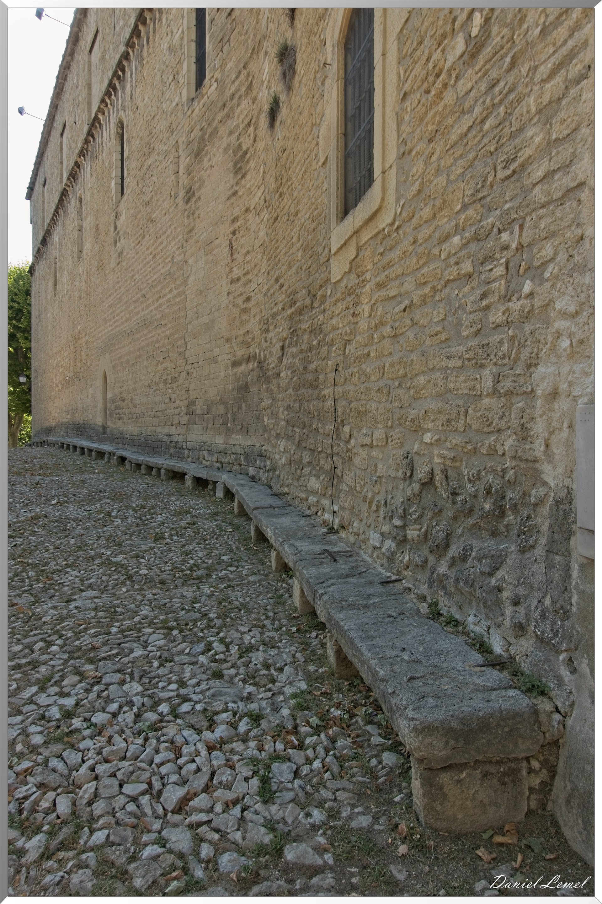  DSC7686W