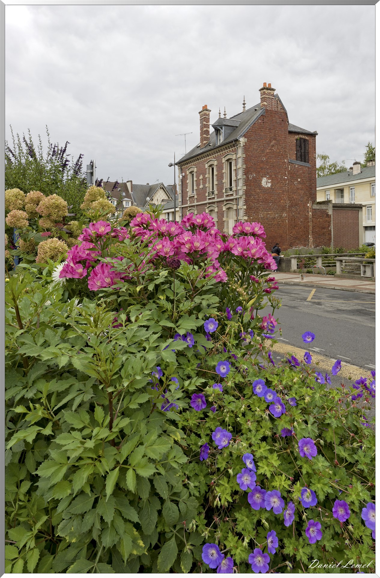  DSC0032 DxOW