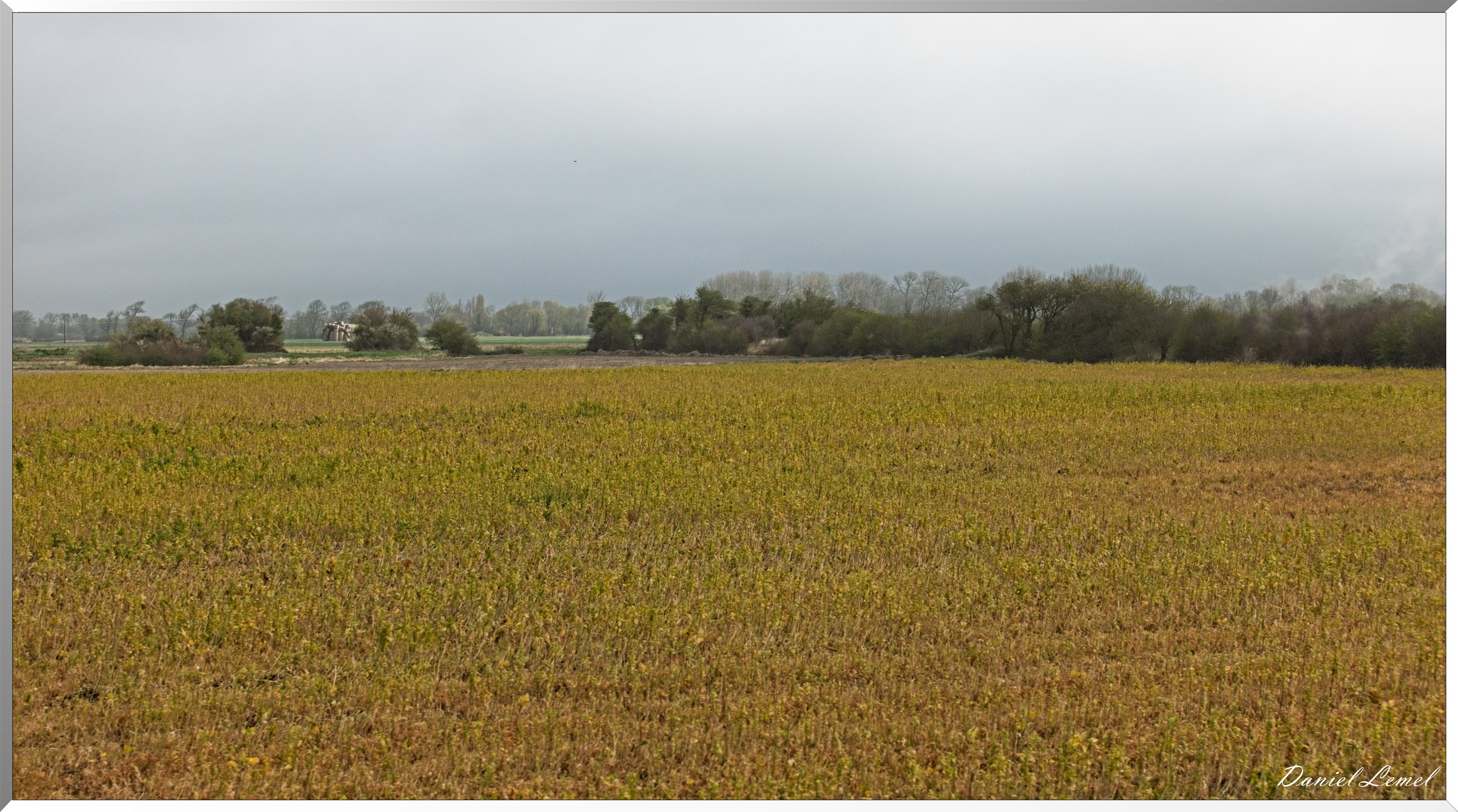 Le Chemin de fer de la baie de Somme