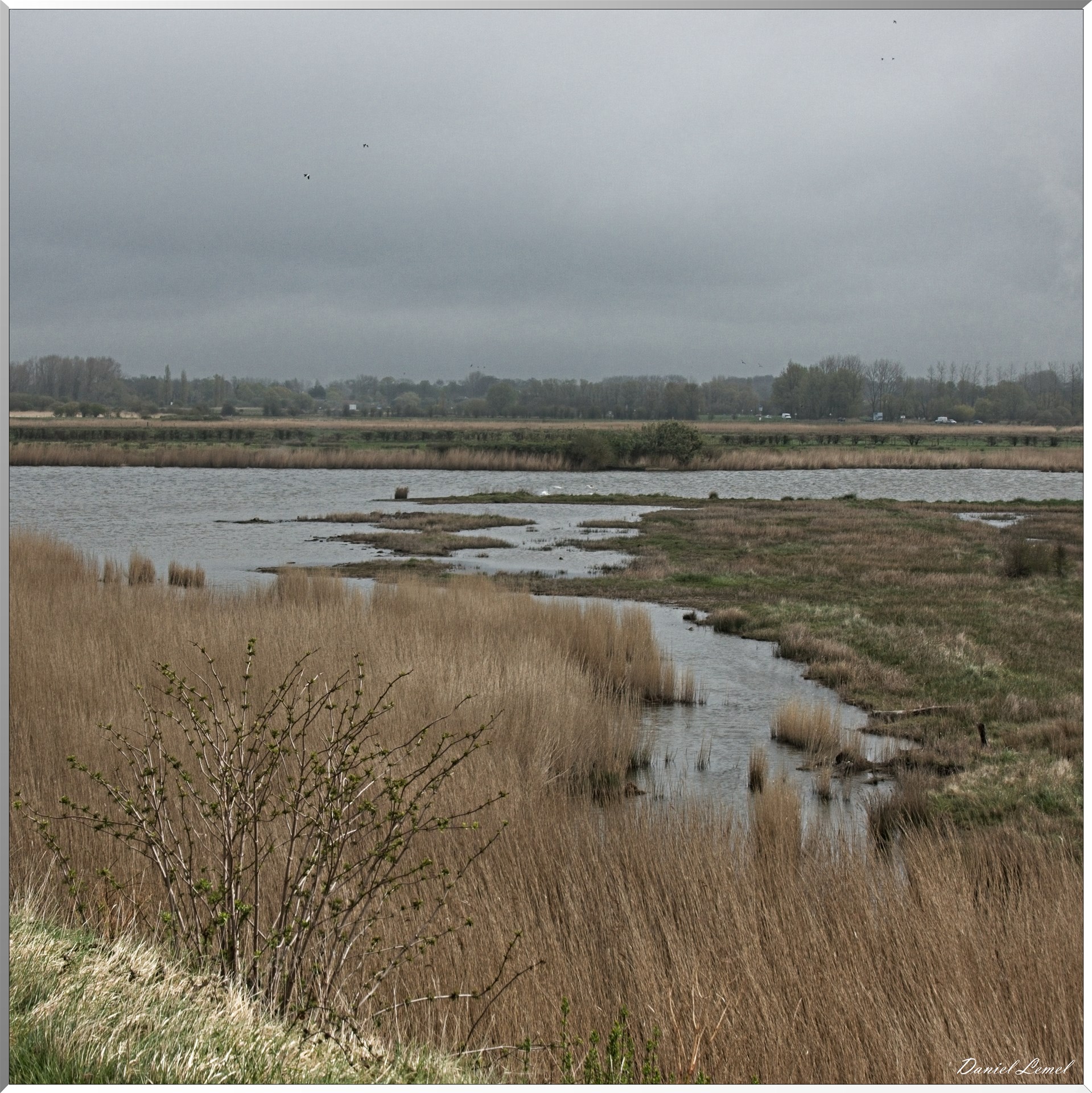 Le Chemin de fer de la baie de Somme