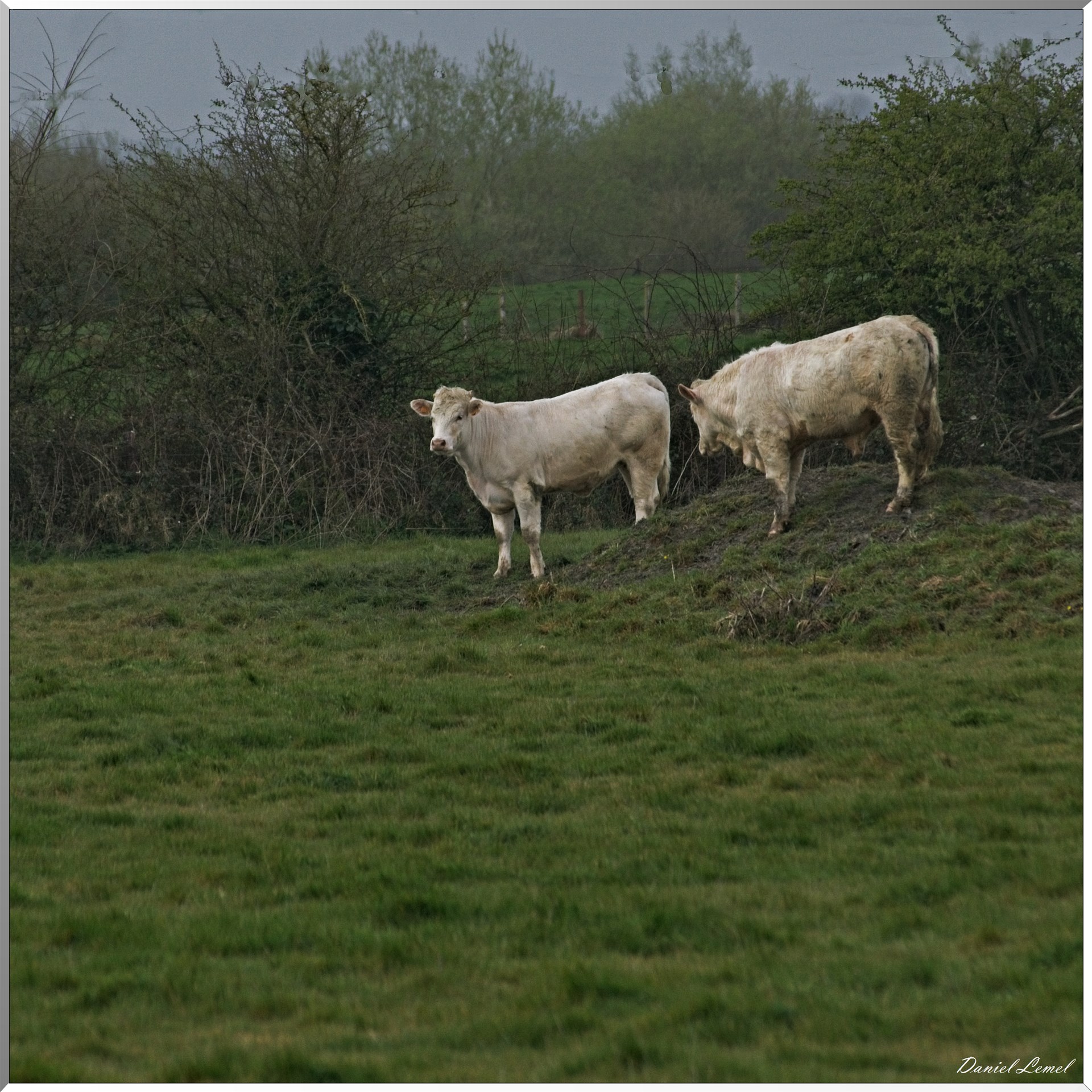 Le Chemin de fer de la baie de Somme