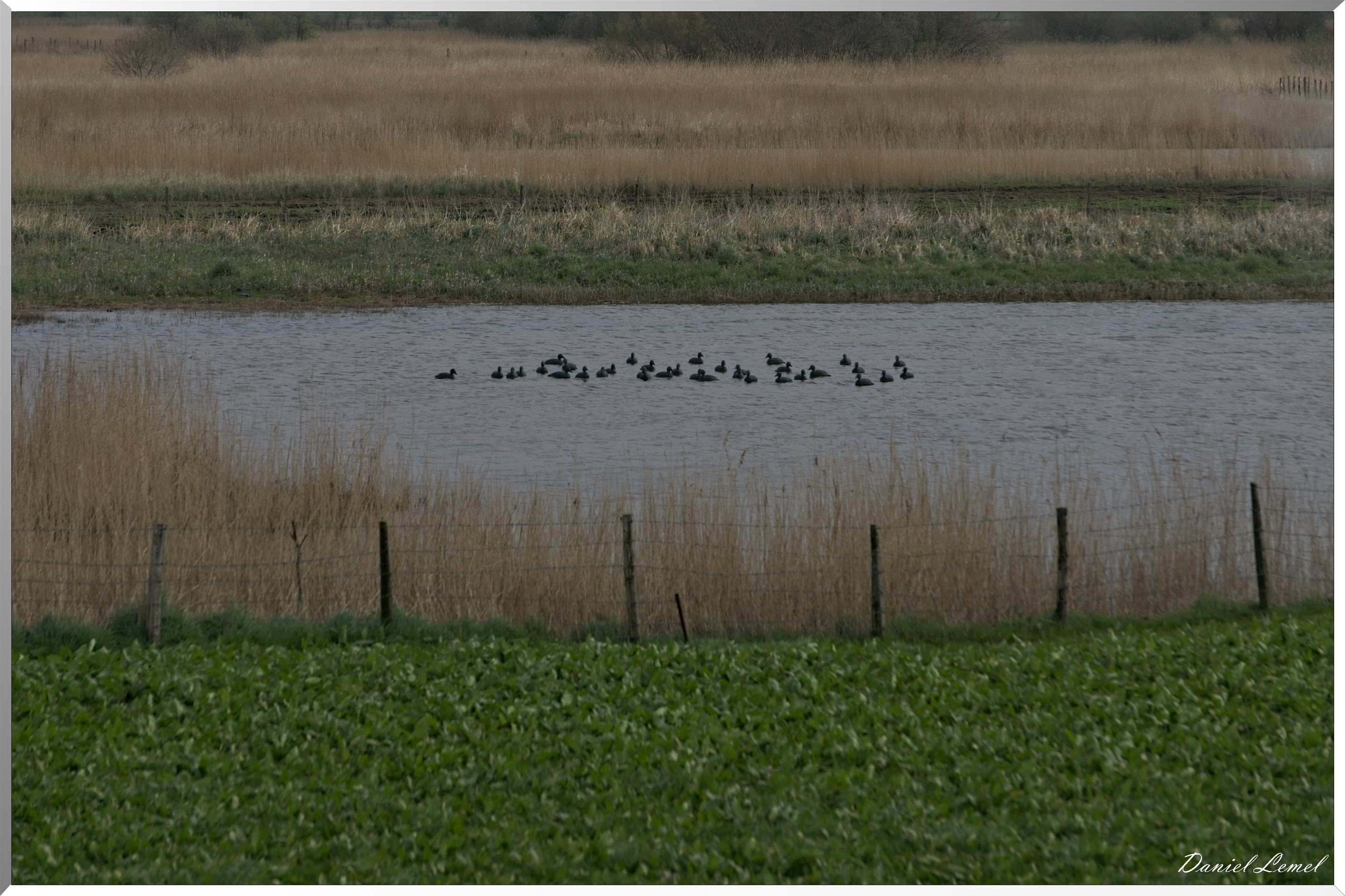 Le Chemin de fer de la baie de Somme