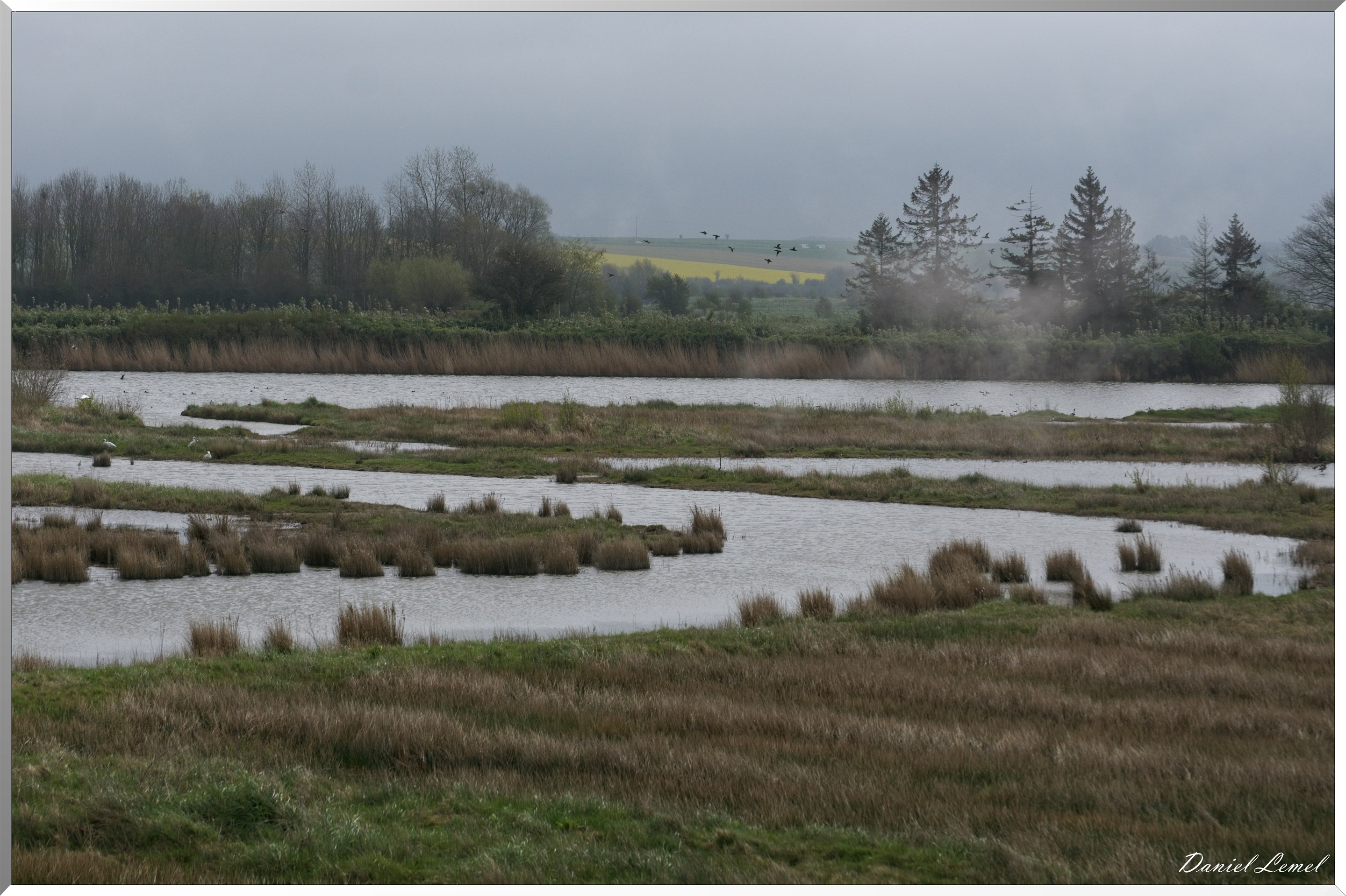Le Chemin de fer de la baie de Somme
