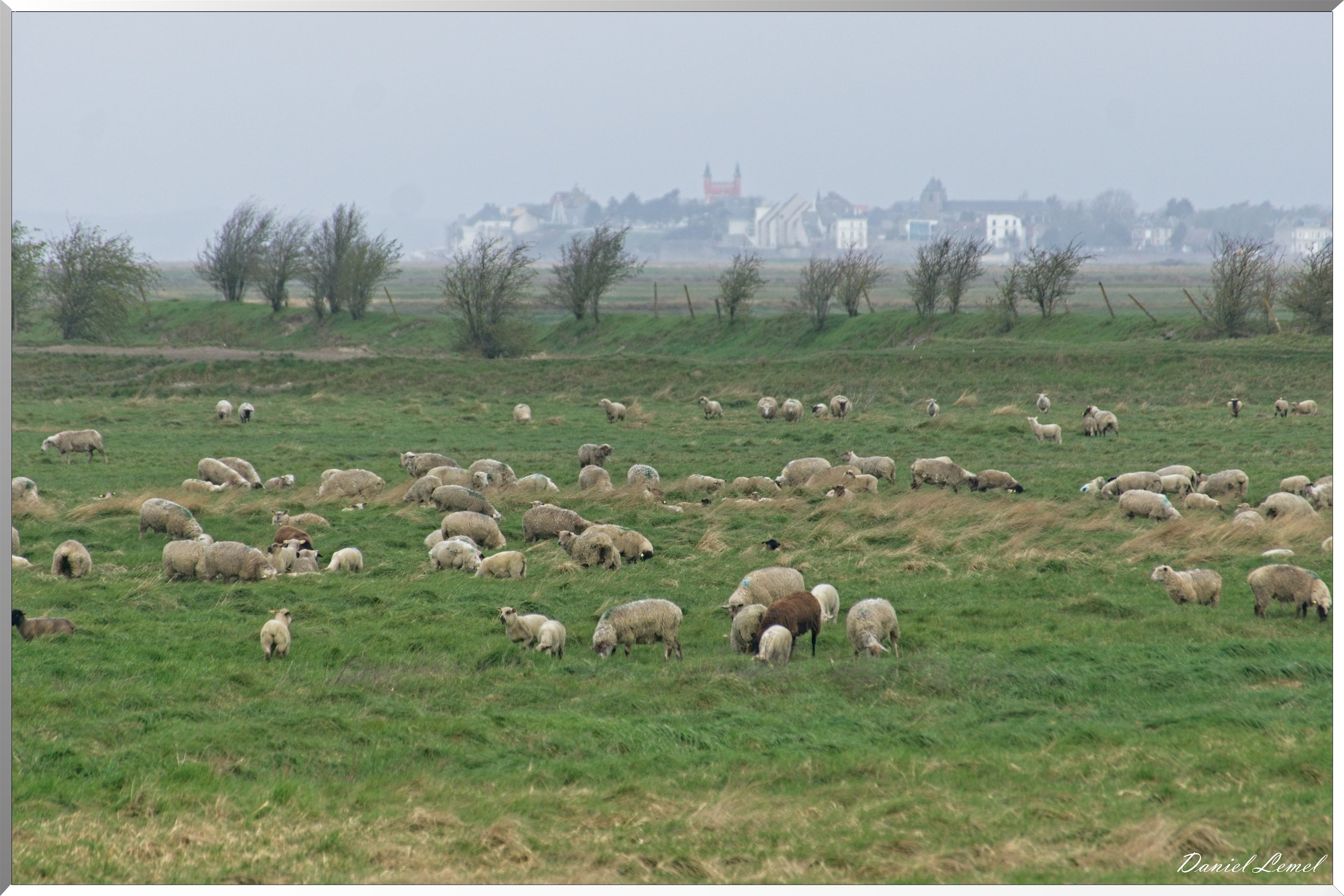 Le Chemin de fer de la baie de Somme