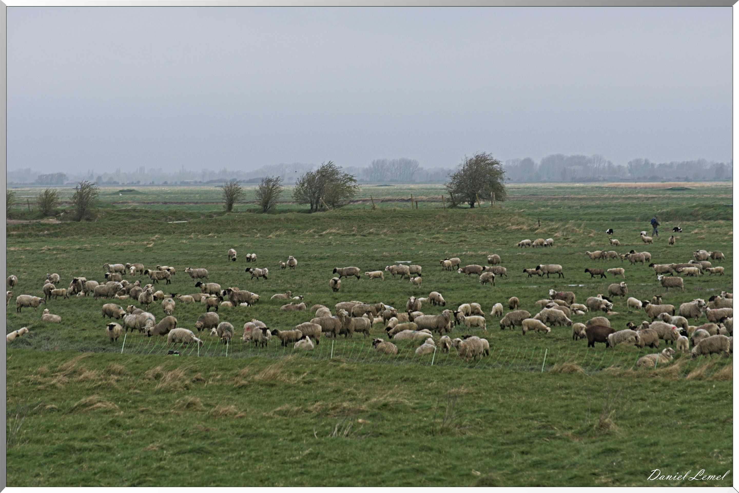 Le Chemin de fer de la baie de Somme