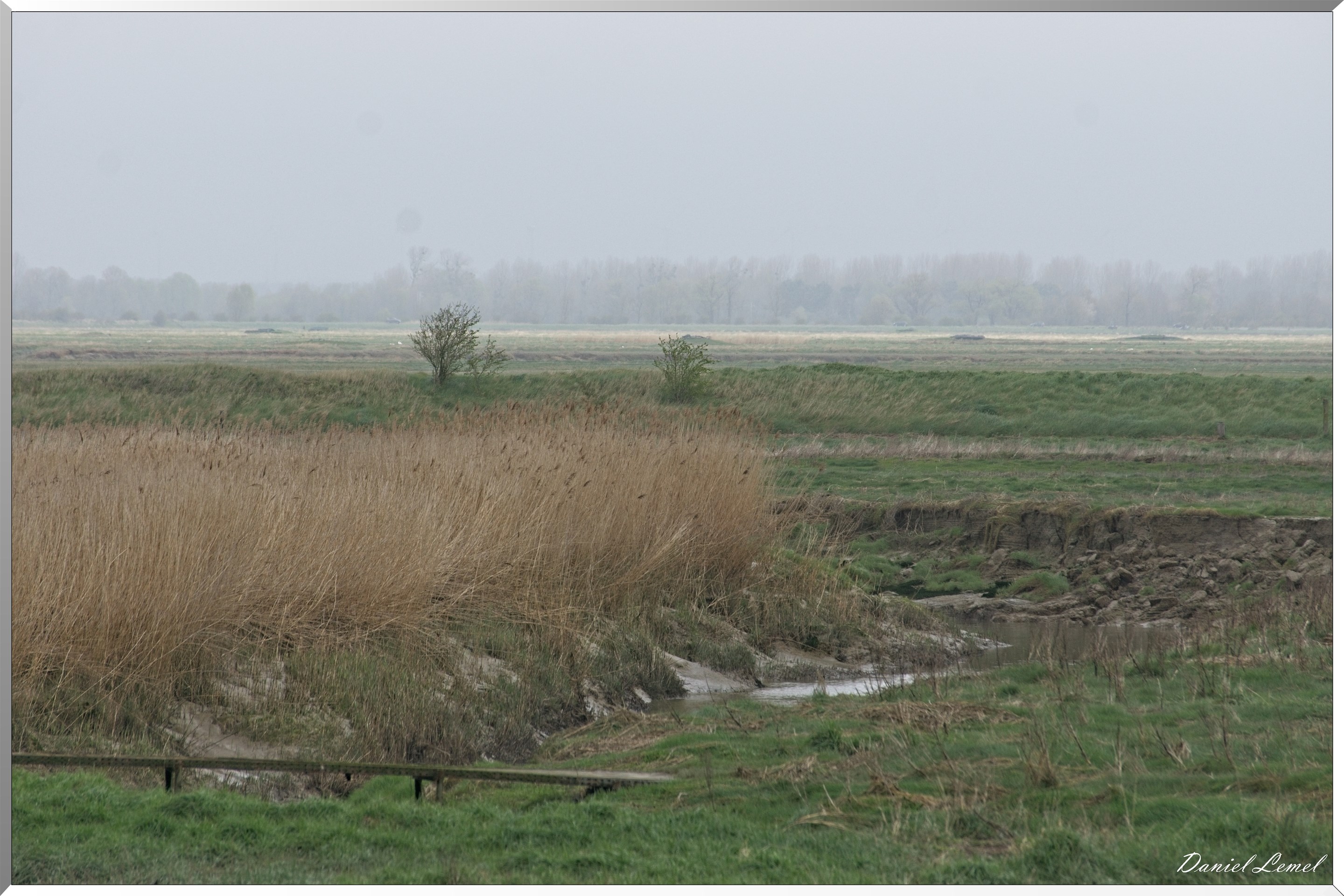 Le Chemin de fer de la baie de Somme