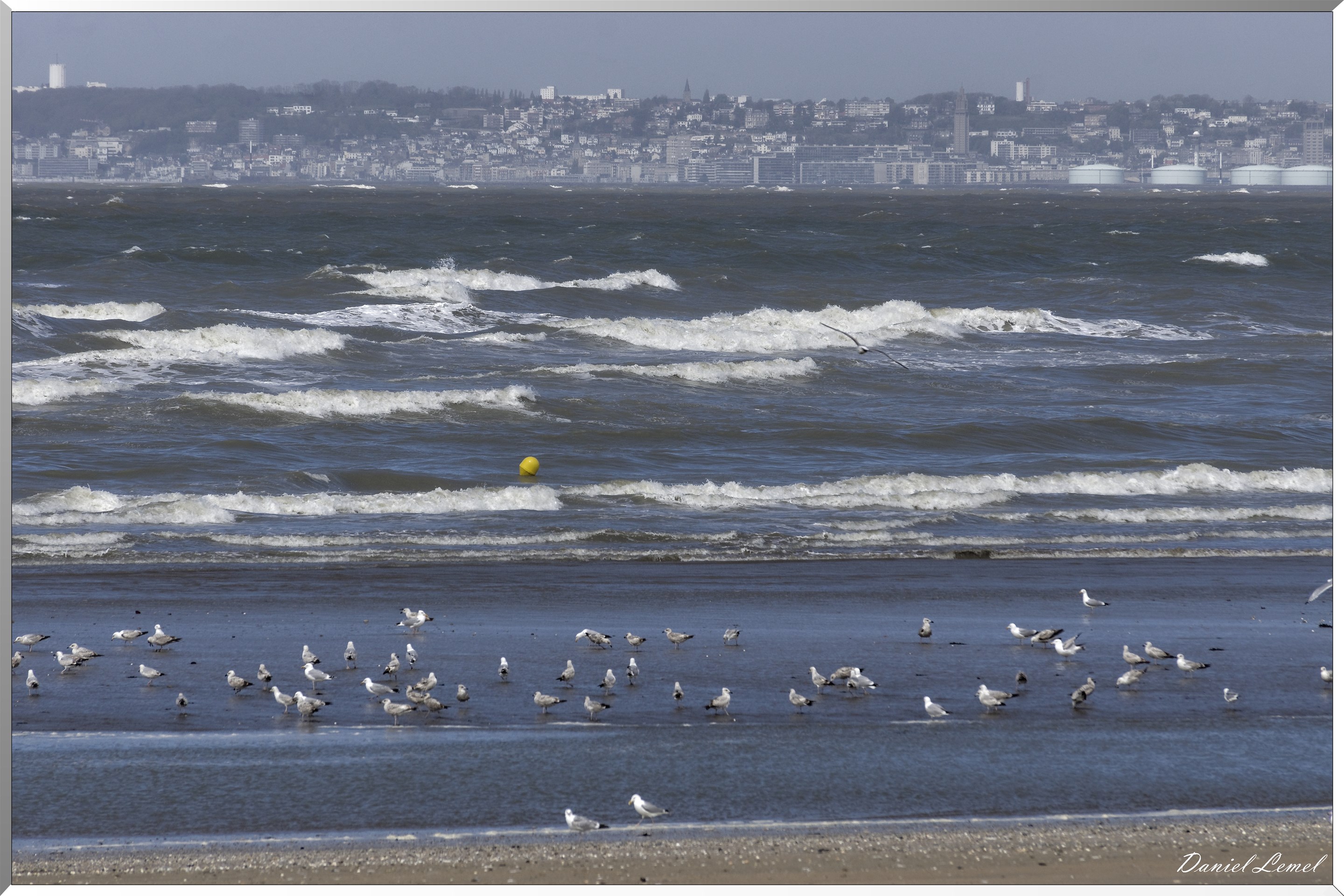  DSC0049 DxOW