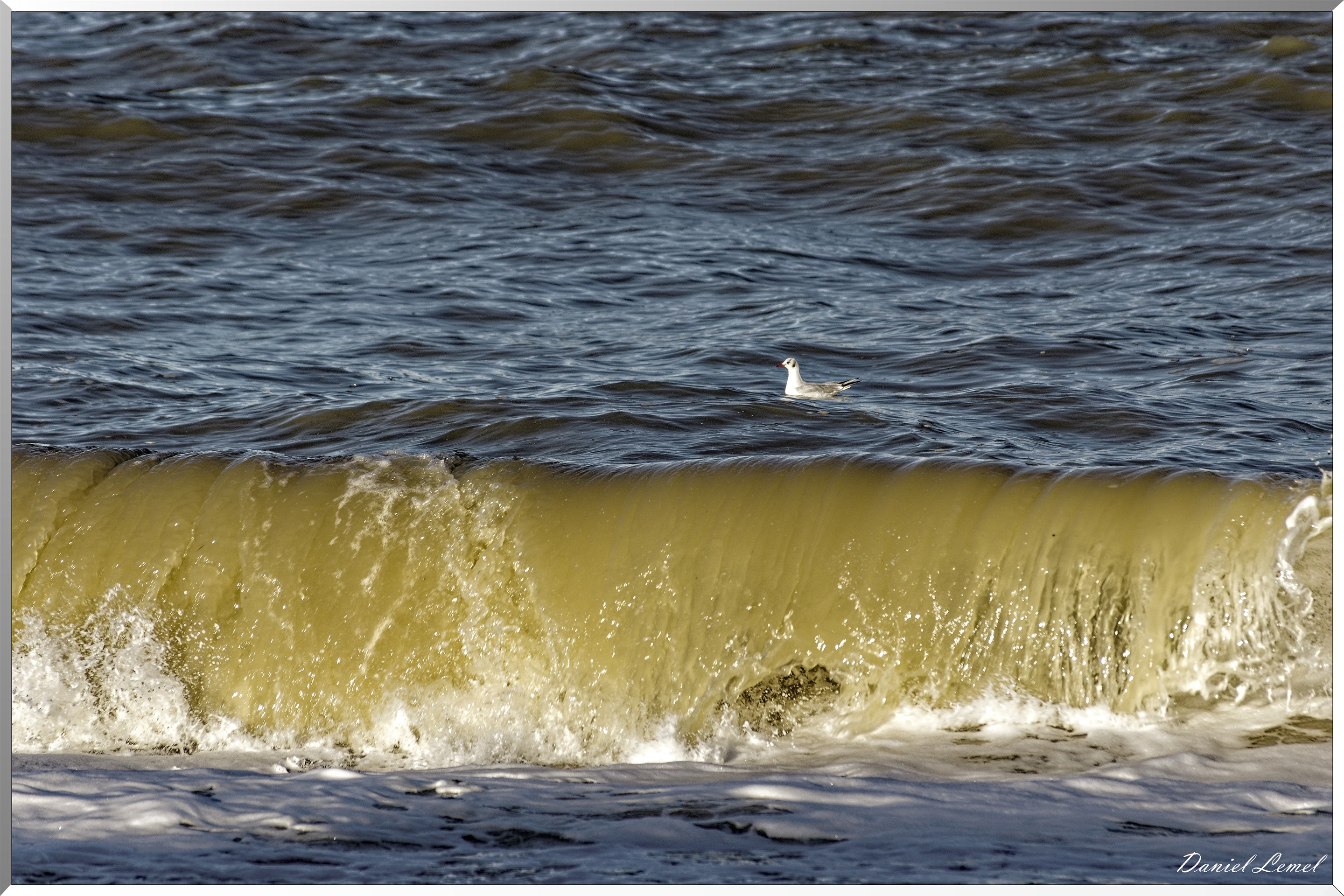 Vagues