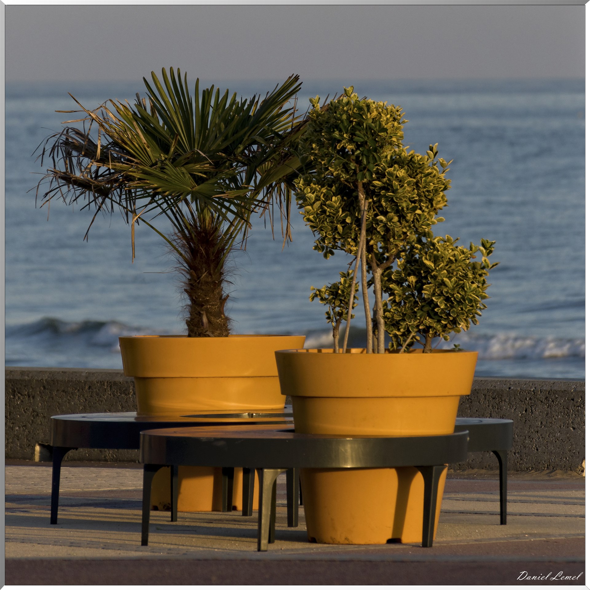 Pots
