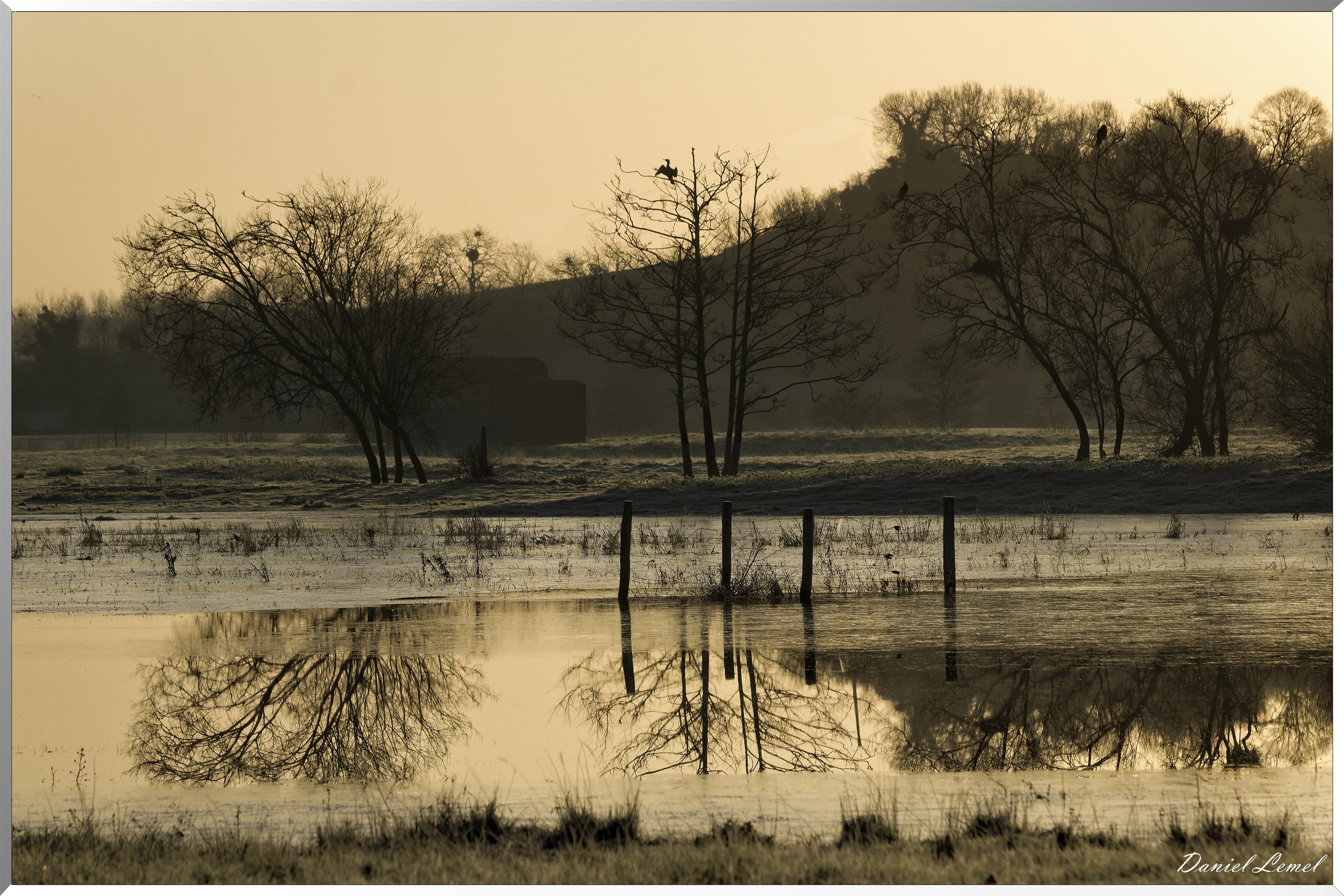 Reflets