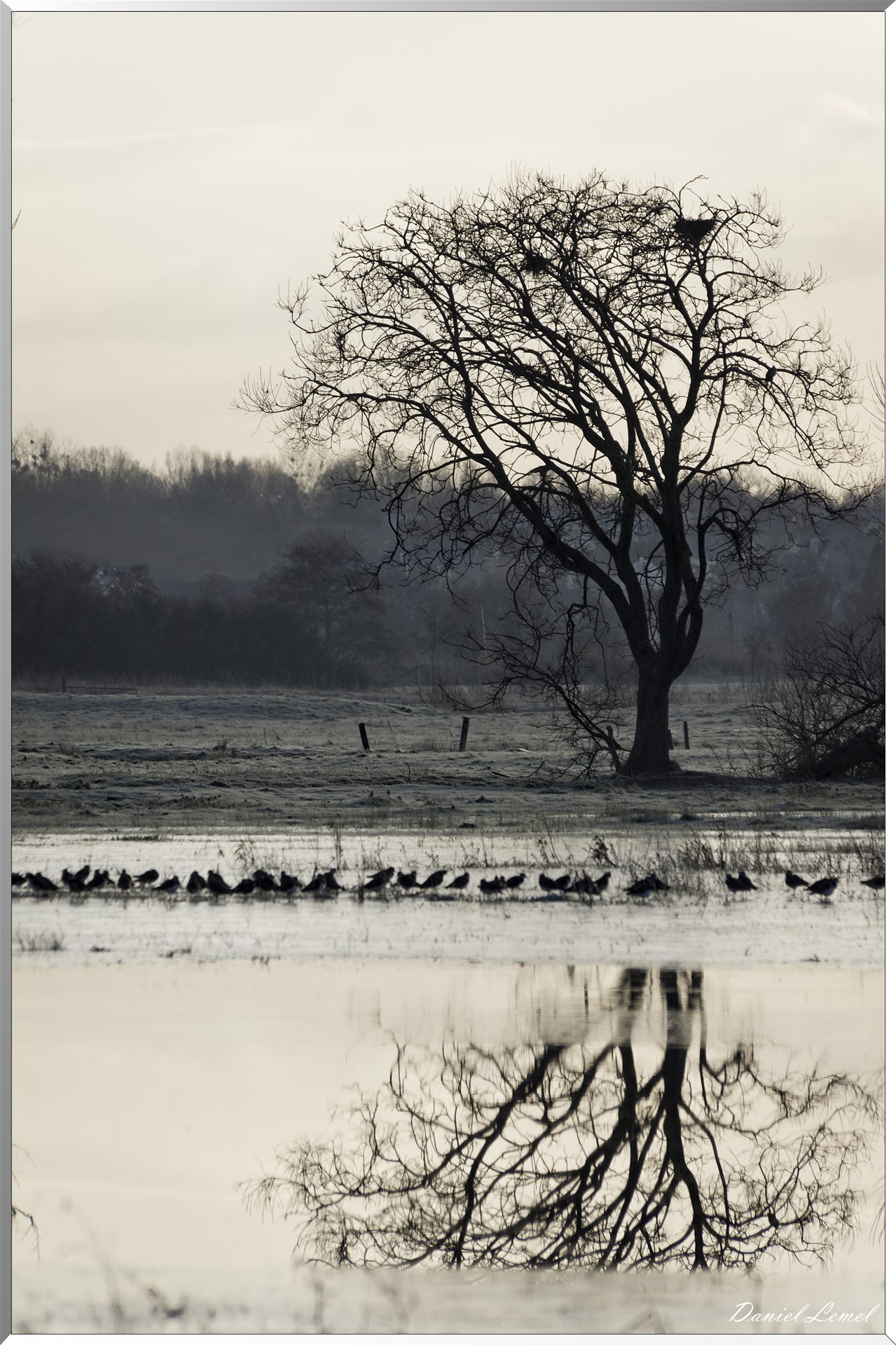 Reflet