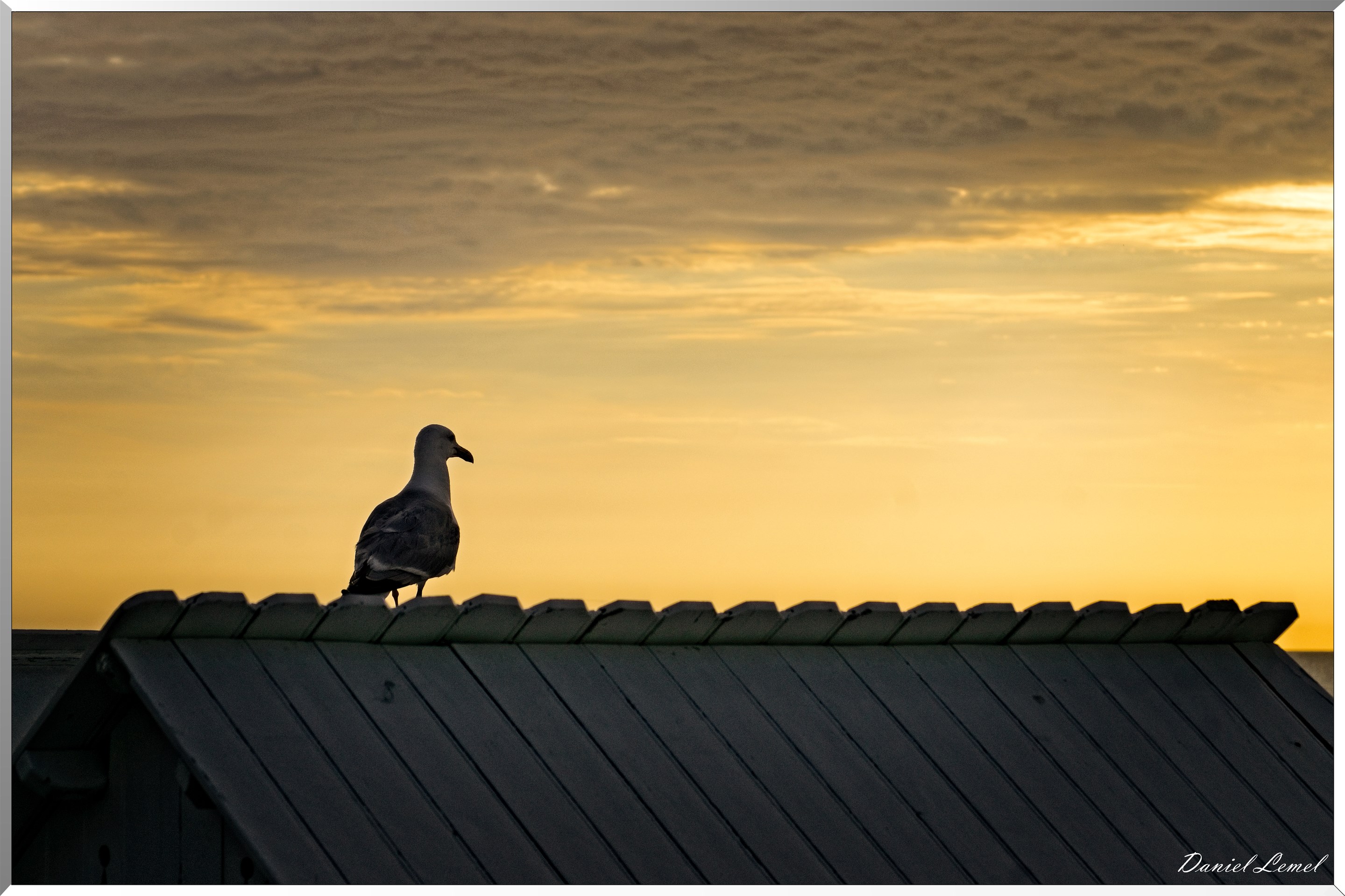 Coucher de soleil
