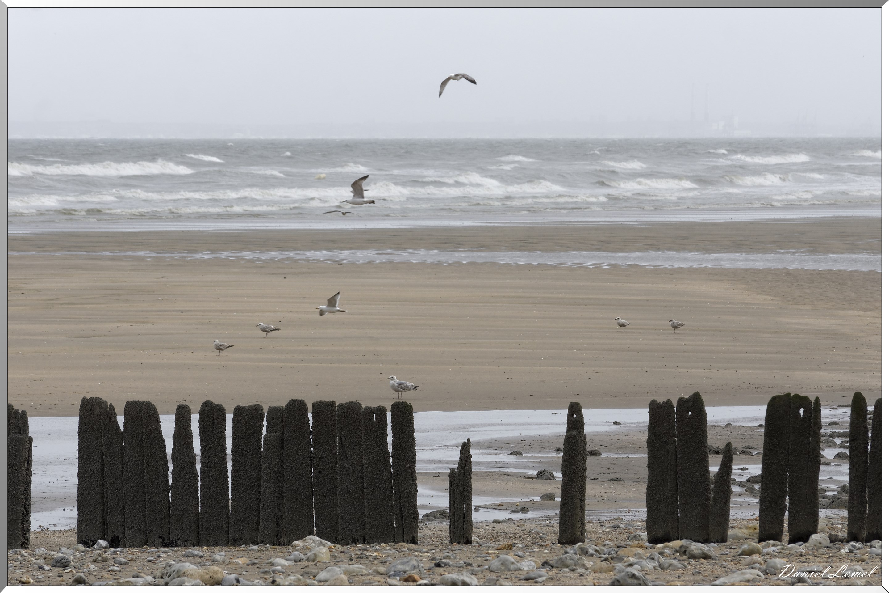  DSC0036 DxOW