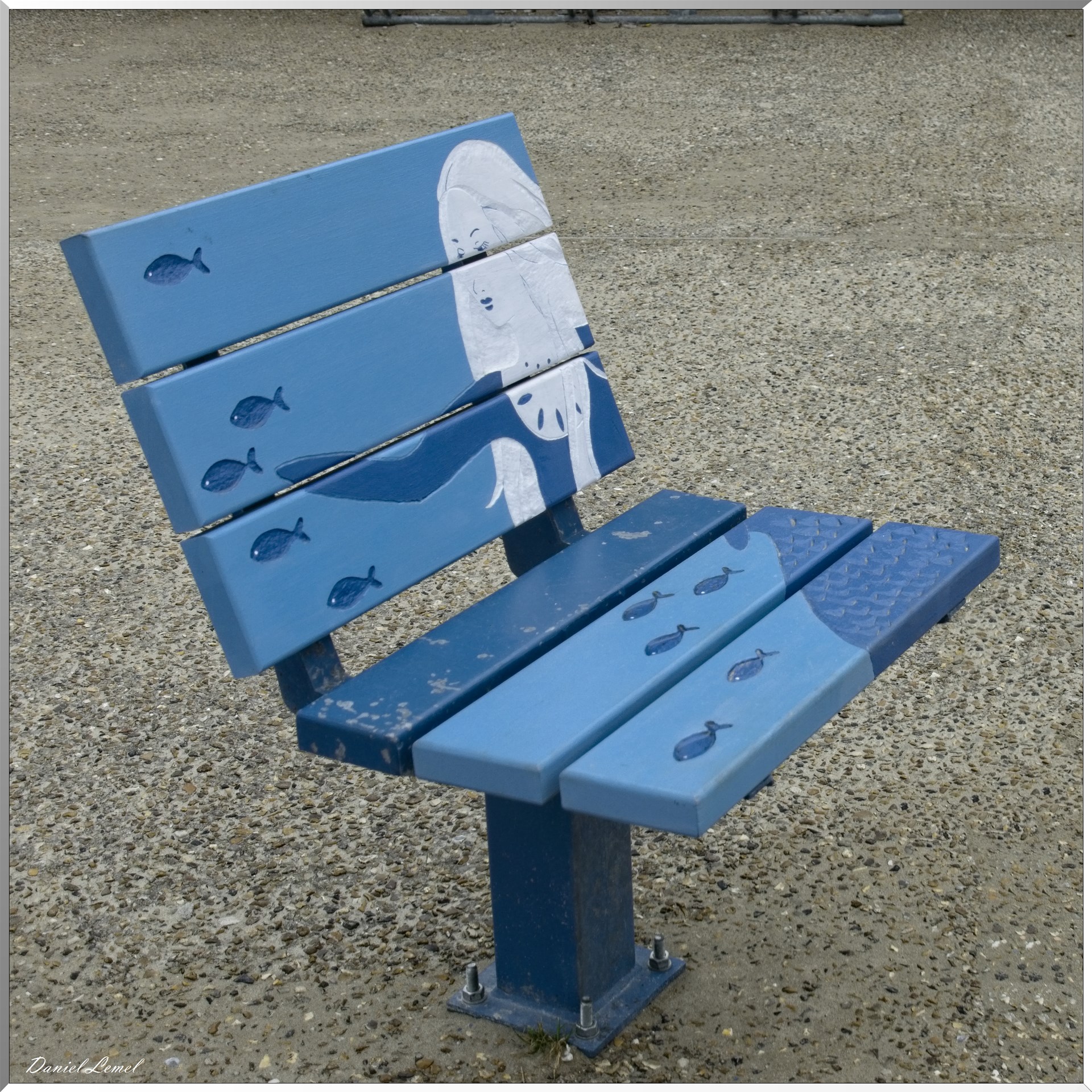 Fauteuils en Seine