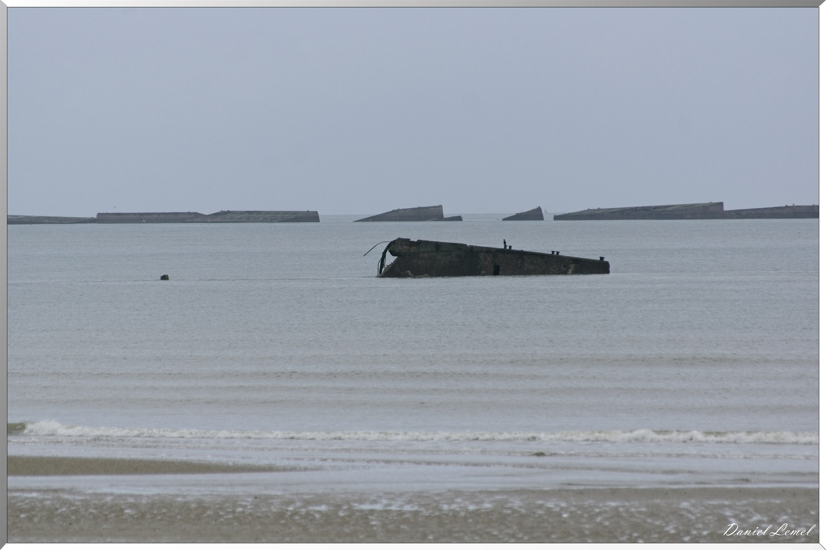  DSC0018W